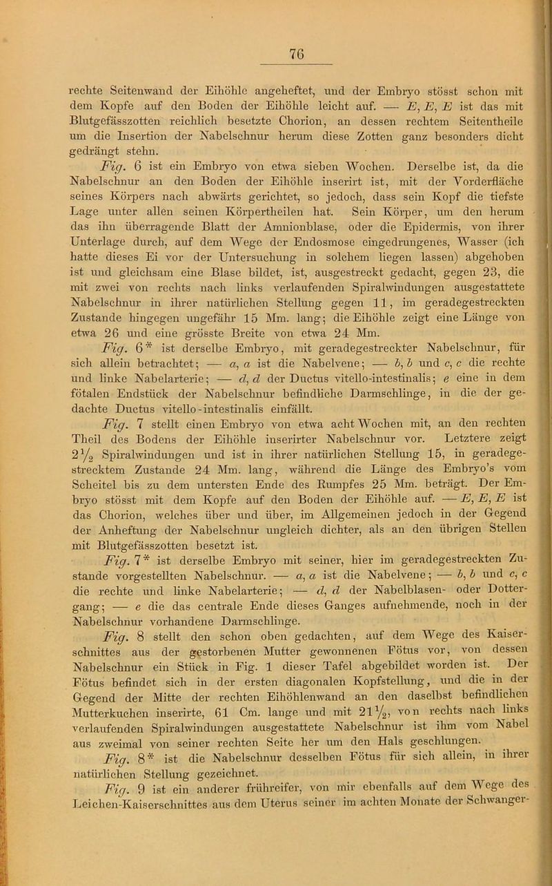 7G rechte Seitenwand der Eihölilc angeheftet, und der Embryo stösst schon mit dem Kopfe auf den Boden der Eihöhle leicht auf. — E, E, E ist das mit Blutgefässzotten reichlich besetzte Chorion, an dessen rechtem Seitentlieile um die Insertion der Nabelschnur herum diese Zotten ganz besonders dicht gedrängt stehn. Fig. 6 ist ein Embryo von etwa sieben Wochen. Derselbe ist, da die Nabelschnur an den Boden der Eihöhle inserirt ist, mit der Vorderfläche seines Körpers nach abwärts gerichtet, so jedoch, dass sein Kopf die tiefste Lage unter allen seinen Körpertheilen hat. Sein Körper, um den herum das ihn überragende Blatt der Amnionblase, oder die Epidermis, von ihrer Unterlage durch, auf dem Wege der Endosmose eingedrungenes, Wasser (ich hatte dieses Ei vor der Untersuchung in solchem liegen lassen) abgehoben ist und gleichsam eine Blase bildet, ist, ausgestreckt gedacht, gegen 23, die mit zwei von rechts nach links verlaufenden Spiralwindungen ausgestattete Nabelschnur in ihrer natürlichen Stellung gegen 11, im geradegestreckten Zustande hingegen ungefähr 15 Mm. lang; die Eihöhle zeigt eine Länge von etwa 26 und eine grösste Breite von etwa 24 Mm. Fig. 6* ist derselbe Embryo, mit geradegestreckter Nabelschnur, für sich allein betrachtet; — a, a ist die Nabelvene; — b,b und c, c die rechte und linke Nabelarterie; — d, d der Ductus vitello-intestinalis; e eine in dem fötalen Endstück der Nabelschnur befindliche Darmschlinge, in die der ge- dachte Ductus vitello-intestinalis einfällt. Fig. 7 stellt einen Embryo von etwa acht Wochen mit, an den rechten Tlieil des Bodens der Eihöhle inserirter Nabelschnur vor. Letztere zeigt 2% Spiralwindungen und ist in ihrer natürlichen Stellung 15, in geradege- strecktem Zustande 24 Mm. lang, während die Länge des Embryo’s vom Scheitel bis zu dem untersten Ende des Kumpfes 25 Mm. beträgt. Der Em- bryo stösst mit dem Kopfe auf den Boden der Eihöhle auf. — E, E, E ist das Chorion, welches über und über, im Allgemeinen jedoch in der Gegend der Anheftung der Nabelschnur ungleich dichter, als an den übrigen Stellen mit Blutgefässzotten besetzt ist. Fig. 7* ist derselbe Embryo mit seiner, hier im geradegestreckten Zu- stande vorgestellten Nabelschnur. — a, a ist die Nabelvene; — b, b und c, c die rechte und linke Nabelarterie; — d, d der Nabelblasen- oder Dotter- gang; — e die das centrale Ende dieses Ganges aufnehmende, noch in der Nabelschnur vorhandene Darmschlinge. Fig. 8 stellt den schon oben gedachten, auf dem Wege des Kaiser- schnittes aus der gestorbenen Mutter gewonnenen Fötus vor, von dessen Nabelschnur ein Stück in Fig. 1 dieser Tafel abgebildet worden ist. Der Fötus befindet sich in der ersten diagonalen Kopfstellung, und die in der Gegend der Mitte der rechten Eihöhlenwand an den daselbst befindlichen Mutterkuchen inserirte, 61 Cm. lange und mit 2iy2, von rechts nach links verlaufenden Spiralwindungen ausgestattete Nabelschnur ist ihm vom Nabel aus zweimal von seiner rechten Seite her um den Hals geschlungen. Fig. 8* ist die Nabelschnur desselben Fötus für sich allein, in ihrer natürlichen Stellung gezeichnet. Fig. 9 ist ein anderer frühreifer, von mir ebenfalls auf dem Wege des Leichen-Kaiserschnittes aus dem Uterus seiner im achten Monate der Schwanger-