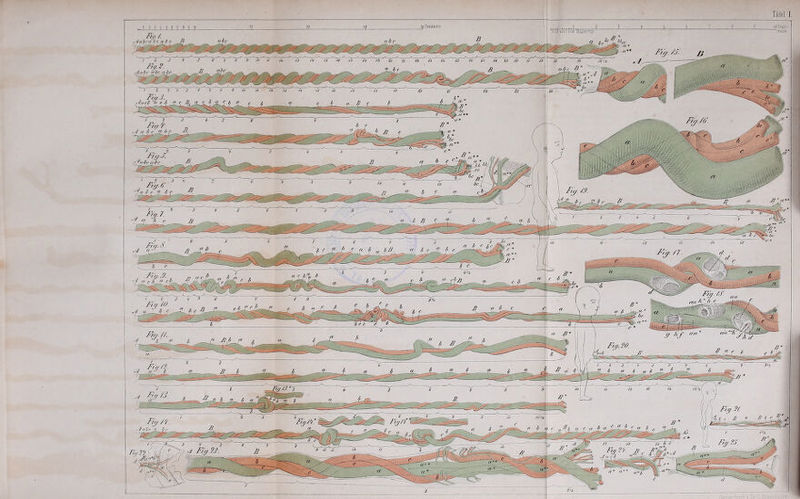 jp Centimetcr Tv'j'iiöi'aöio 'tihüiF.^a' •jabrti ö c a b e