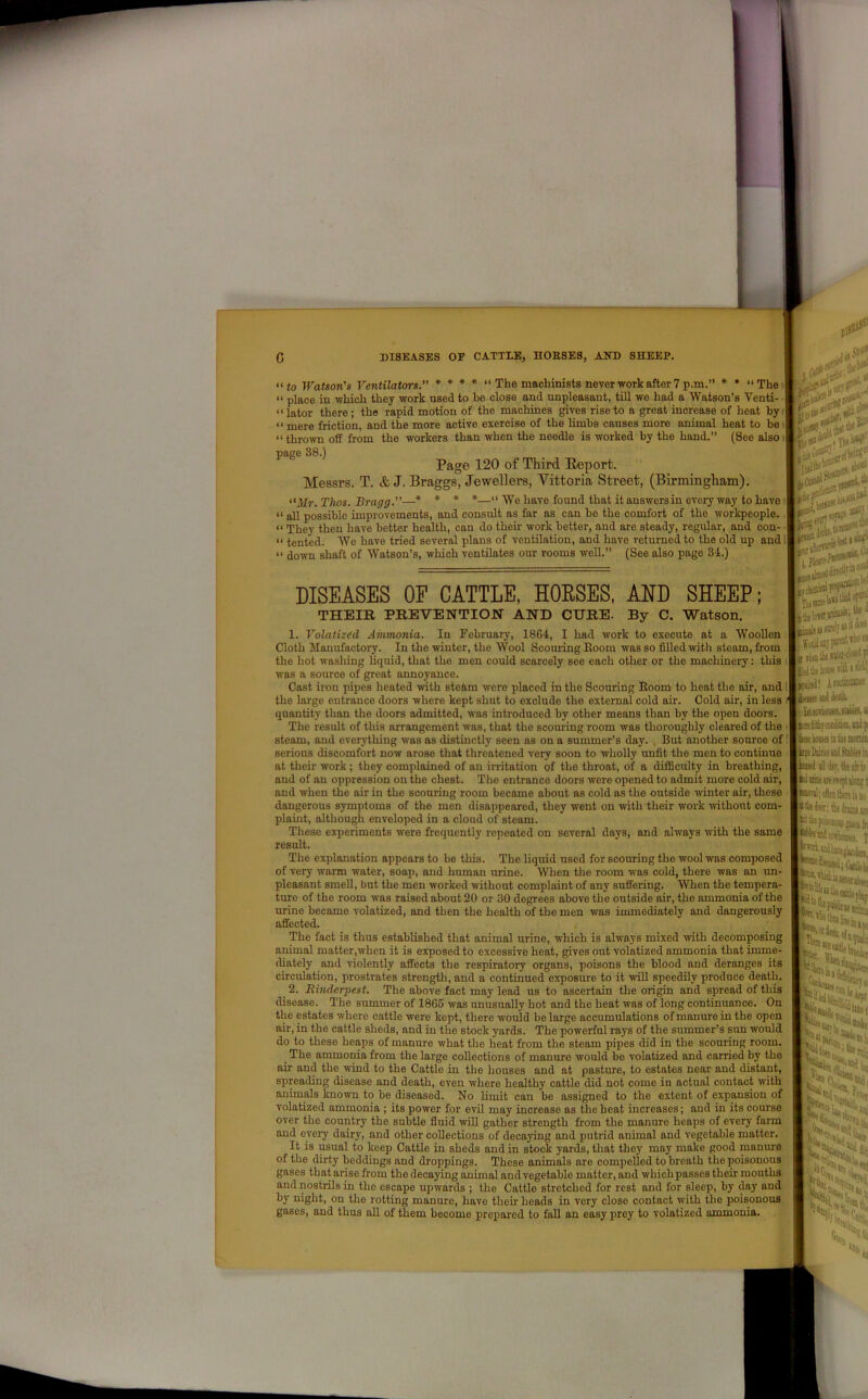 11 to Watson's Ventilators. * * * * “ The machinists never work after 7 p.m.” * * “The “ place in which they work used to bo close and unpleasant, till we had a Watson’s Venti- lator there; the rapid motion of the machines gives rise to a great increase of heat by “ mere friction, and the more active exercise of the limbs causes more animal heat to be “ thrown off from the workers than when the needle is worked by the hand.” (See also page 38.) Page 120 of Third Report. Messrs. T. & J. Braggs, Jewellers, Vittoria Street, (Birmingham). “Mr. Thos. Bragg.—* * * *—“ We have found that it answers in every way to have “ all possible improvements, and consult as far as can be the comfort of the workpeople. “ They then have better health, can do their work better, and are steady, regular, and con- “ tented. We have tried several plans of ventilation, and have returned to the old up and « down shaft of Watson’s, which ventilates our rooms well.” (See also page 34.) DISEASES OF CATTLE, HORSES, AND SHEEP; THEIR PREVENTION AND CURE. By C. Watson. 1. Volatized Ammonia. In February, 1864, I had work to execute at a Woollen Cloth Manufactory. In the winter, the Wool Scouring Boom was so filled with steam, from the hot washing liquid, that the men could scarcely see each other or the machinery: this was a source of great annoyance. Cast iron pipes heated with steam were placed in the Scouring Room to heat the air, and the large entrance doors where kept shut to exclude the external cold air. Cold air, in less quantity than the doors admitted, was introduced by other means than by the open doors. The result of this arrangement was, that the scouring room was thoroughly cleared of the steam, and everything was as distinctly seen as on a summer’s day. But another source of serious discomfort now arose that threatened very soon to wholly unfit the men to continue at their work; they complained of an irritation of the throat, of a difficulty in breathing, and of an oppression on the chest. The entrance doors were opened to admit more cold air, and when the air in the scouring room became about as cold as the outside winter air, these dangerous symptoms of the men disappeared, they went on with their work without com- plaint, although enveloped in a cloud of steam. These experiments were frequently repeated on several days, and always with the same result. The explanation appears to be this. The liquid used for scouring the wool was composed of very warm water, soap, and human urine. When the room was cold, there was an un- pleasant smeU, but the men worked without complaint of any suffering. When the tempera- ture of the room was raised about 20 or 30 degrees above the outside air, the ammonia of the urine became volatized, and then the health of the men was immediately and dangerously affected. The fact is thus established that animal urine, which is always mixed with decomposing animal matter,when it is exposed to excessive heat, gives out volatized ammonia that imme- diately and violently affects the respiratory organs, poisons the blood and deranges its circulation, prostrates strength, and a continued exposure to it will speedily produce death. 2. Rinderpest. The above fact may lead us to ascertain the origin and spread of this disease. The summer of 1865 was unusually hot and the heat was of long continuance. On the estates where cattle were kept, there would be large accumulations of manure in the open air, in the cattle sheds, and in the stock yards. The powerful rays of the summer’s sun would do to these heaps of manure what the heat from the steam pipes did in the scouring room. The ammonia from the large collections of manure would be volatized and carried by the air and the wind to the Cattle in the houses and at pasture, to estates near and distant, spreading disease and death, even where healthy cattle did not come in actual contact with animals known to be diseased. No limit can be assigned to the extent of expansion of volatized ammonia ; its power for evil may increase as the heat increases; and in its course over the country the subtle fluid will gather strength from the manure heaps of every farm and every dairy, and other coUections of decaying and putrid animal and vegetable matter. It is usual to keep Cattle in sheds and in stock yards, that they may make good manure of the dirty beddings and droppings. These animals are compelled to breath the poisonous gases thatarise from the decaying animal and vegetable matter, and which passes their mouths and nostrils in the escape upwards ; the Cattle stretched for rest and for sleep, by day aud by night, on the rotting manure, have then- heads in very close contact with the poisonous gases, and thus all of them become prepared to fall an easy prey to volatized ammonia.