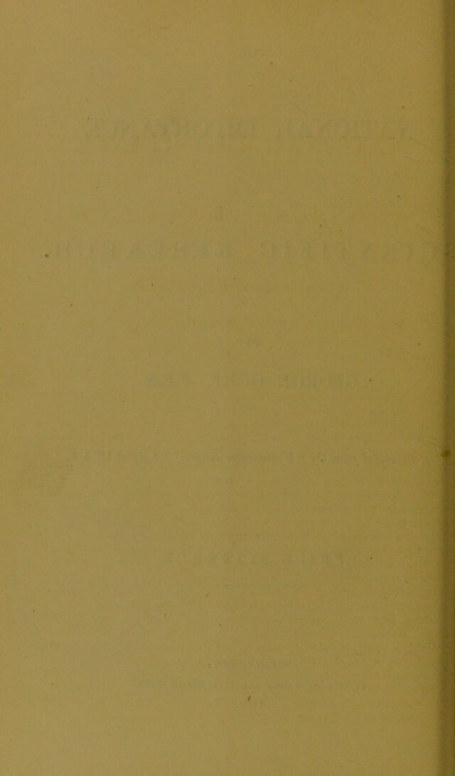 digitised image 2