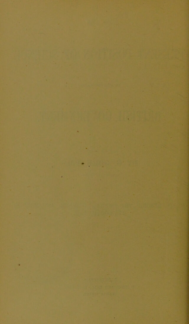 digitised image 2
