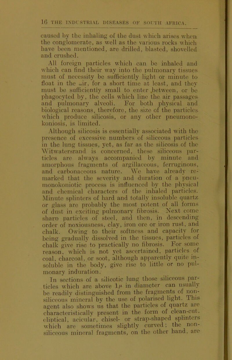 caused by the inhaling of the dust which arises when the conglomerate, as well as the various rocks which have been mentioned, are drilled, blasted, shovelled and crushed. All foreign particles which can be inhaled and which can find their way into the pulmonary tissues must of necessity be sufficiently light or minute to float in the air. for a short time at least, and they must be sufficiently small to enter .between, or be phagocyted by, the cells which line the air passages- and pulmonary alveoli. For both physical and biological rea.sons, therefore, the size of the particles- which produce silicosis, or any other pneumono- koniosis, is limited. Although silicosis is essentially associated with the presence of excessive numbers of siliceous particles- in the lung tissues, yet, as far as the silicosis of the AVitwatersrand is concerned, these siliceous ]iar- ticles are always accompanied by minute and amoriihous fragments of argillaceous, ferruginous, and carbonaceous nature. We have already re- marked that the severity and duration of a pneu- monokoniotic proce.ss is influenced Iw the physical and chemical chai'acters of the inhaled particles. Minute splinters of hard and totally insoluble quartz or glass are probably the most potent of all forms of dust in exciting pulmonary fibrosis. Next conie sharn particles of steel, and then, in descending order of noxiousness, clay, iron ore or iron rust, and chalk. Owing to their softness and capacity for being gradually dissolved in the tissues, particles of chalk give rise to practically no fibrosis. For some reason, which is not yet ascertained, particles of coal, chax’coal, or soot, although apparently quite in- soluble in the body, give rise to little or no pul- monary induration. In sections of a silicotic lung those siliceous pai- ticles which are above 1/^ in diameter can usually be readily distinguished from the fragments of non- siliceous mineral by the use of polarised light. This agent also shows us that the particles of quartz are characteristically present in the form of clean-cut. eliptical, acicular, chisel- or strap-shaped splinters which are sometimes slightly curved; the non- siliceous mineral fragments, on the other hand, are