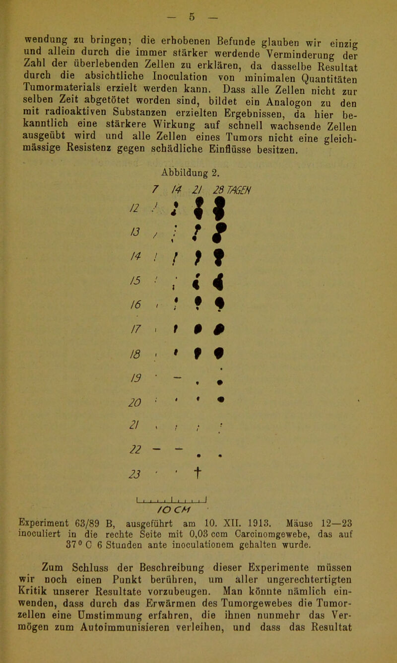 Wendung zu bringen; die erhobenen Befunde glauben wir einzig und allein durch die immer stärker werdende Verminderung der Zahl der überlebenden Zellen zu erklären, da dasselbe Resultat durch die absichtliche Inoculation von minimalen Quantitäten Tumormaterials erzielt werden kann. Dass alle Zellen nicht zur selben Zeit abgetötet worden sind, bildet ein Analogon zu den mit radioaktiven Substanzen erzielten Ergebnissen, da hier be- kanntlich eine stärkere Wirkung auf schnell wachsende Zellen ausgeübt wird und alle Zellen eines Tumors nicht eine gleich- massige Resistenz gegen schädliche Einflüsse besitzen. Abbildung 2. 7 14 2/ 28 TAGEN 12 ) • * ; 1 13 / • • \ r « 14 j f > t 15 / i # « 4 16 / < i • % « 17 I t 0 0 18 1 1 f 9 13 — « • 20 • t • • 21 % t l f 22 — — • 23 ' t t I—i i—i—i l i i i—i—I /O CM Experiment 63/89 B, ausgeführt am 10. XII. 1913. Mäuse 12—23 inoculiert in die rechte Seite mit 0,03 com Carcinomgewebe, das auf 37° C 6 Stunden ante inoculationem gehalten wurde. Zum Schluss der Beschreibung dieser Experimente müssen wir noch einen Punkt berühren, um aller ungerechtertigten Kritik unserer Resultate vorzubeugen. Man könnte nämlich ein- wenden, dass durch das Erwärmen des Tumorgewebes die Tumor- zellen eine Umstimmung erfahren, die ihnen nunmehr das Ver- mögen zum Autoimmunisieren verleihen, und dass das Resultat