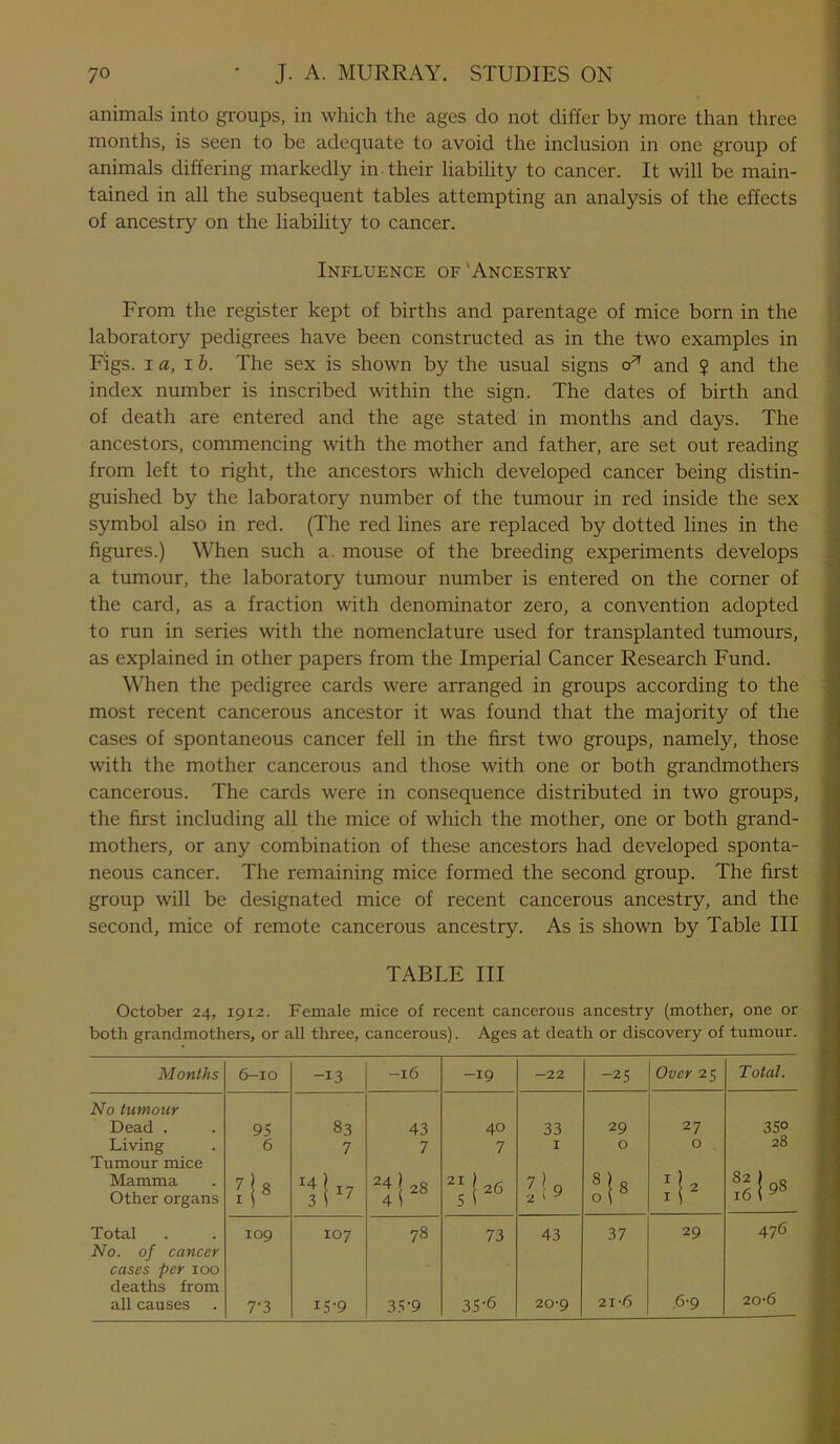 animals into groups, in which the ages do not differ by more than three months, is seen to be adequate to avoid the inclusion in one group of animals differing markedly in their liability to cancer. It will be main- tained in all the subsequent tables attempting an analysis of the effects of ancestry on the liability to cancer. Influence of 'Ancestry From the register kept of births and parentage of mice born in the laboratory pedigrees have been constructed as in the two examples in Figs, i a, ib. The sex is shown by the usual signs cU and ? and the index number is inscribed within the sign. The dates of birth and of death are entered and the age stated in months and days. The ancestors, commencing with the mother and father, are set out reading from left to right, the ancestors which developed cancer being distin- guished by the laboratory number of the tumour in red inside the sex symbol also in red. (The red lines are replaced by dotted lines in the figures.) When such a. mouse of the breeding experiments develops a tumour, the laboratory tumour number is entered on the corner of the card, as a fraction with denominator zero, a convention adopted to run in series with the nomenclature used for transplanted tumours, as explained in other papers from the Imperial Cancer Research Fund. When the pedigree cards were arranged in groups according to the most recent cancerous ancestor it was found that the majority of the cases of spontaneous cancer fell in the first two groups, namely, those with the mother cancerous and those with one or both grandmothers cancerous. The cards were in consequence distributed in two groups, the first including all the mice of which the mother, one or both grand- mothers, or any combination of these ancestors had developed sponta- neous cancer. The remaining mice formed the second group. The first group will be designated mice of recent cancerous ancestry, and the second, mice of remote cancerous ancestry. As is shown by Table III TABLE III October 24, 1912. Female mice of recent cancerous ancestry (mother, one or both grandmothers, or all three, cancerous). Ages at death or discovery of tumour. Months 6-10 -13 -l6 -19 -22 -25 Over 25 Total. No tumour Dead . Living Tumour mice Mamma Other organs 95 6 ?i8 83 7 43 7 40 7 ”1- 33 1 7! 9 2'y o\ 0 co CM 00 O 2? O :!■ 35° 28 51* Total 109 107 78 73 43 37 29 476 No. of cancer cases per 100 deaths from all causes 7-3 15‘9 35-9 35-6 20-9 21-6 .6-9 20-6