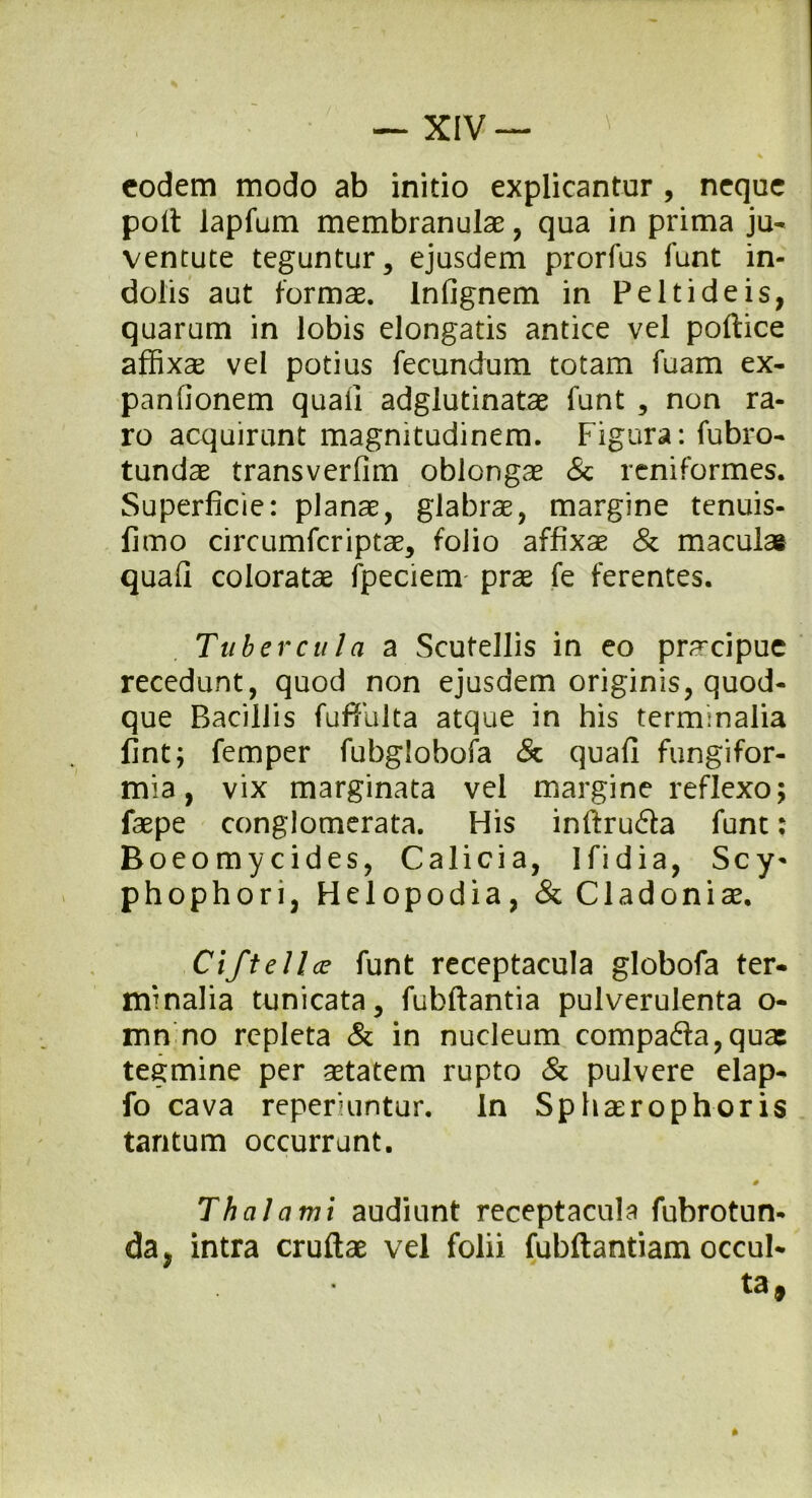 — XIV— v eodem modo ab initio explicantur , neque poli lapfum membranulae , qua in prima ju- ventute teguntur, ejusdem prorfus funt in- dolis aut formae. Inlignem in Peltideis, quarum in lobis elongatis antice vel pollice affixae vel potius fecundum totam fuam ex- panfionem quali adglutinatae funt , non ra- ro acquirunt magnitudinem. Figura: fubro- tundae transverfim oblongae & reniformes. Superficie: planae, glabrae, margine tenuis- fimo circumfcriptae, folio affixae & maculae quali coloratae fpeciem prae fe ferentes. Tubercula a Scutellis in eo praripue recedunt, quod non ejusdem originis, quod- que Bacillis fuffulta atque in his terminalia fint; femper fubglobofa & quali fungifor- mia, vix marginata vel margine reflexo; faepe conglomerata. His inftrufta funt: Boeomycides, Calicia, Ifidia, Scy- phophori, Helopodia, & Cladoniae. Ciftell ce funt receptacula globofa ter- minalia tunicata, fubftantia pulverulenta o- mn no repleta & in nucleum compa£ia,quae tegmine per aetatem rupto & pulvere elap- fo cava reperiuntur. In Sphaero phoris tantum occurrunt. Thalami audiunt receptacula fubrotun- da, intra cruftae vel folii fubftantiam occul- ta,