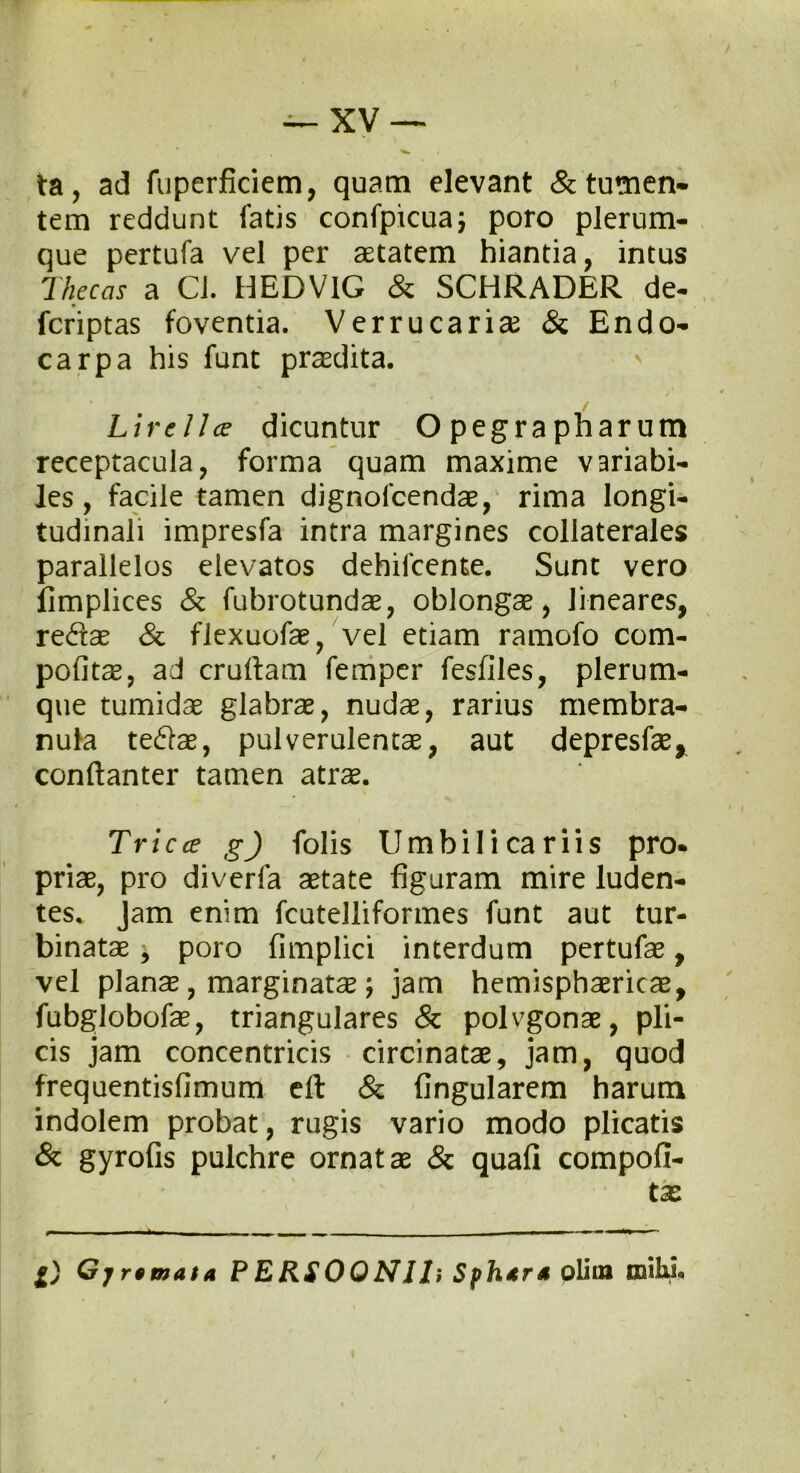 ta, ad fuperficiem, quam elevant & tumen- tem reddunt fatis confpicua; poro plerum- que pertufa vel per aetatem hiantia, intus Thecas a Cl. HEDV1G & SCHRADER de- fcriptas foventia. Verrucarix & Endo- carpa his funt praedita. ' / Lire lice dicuntur Opegrapharum receptacula, forma quam maxime variabi- les, facile tamen dignofcendae, rima longi- tudinali impresfa intra margines collaterales parallelos elevatos dehilcente. Sunt vero fimplices & fubrotundae, oblongae, lineares, redae & flexuofae, vel etiam ramofo com- pofitae, ad cruftam femper fesfiles, plerum- que tumidae glabrae, nudae, rarius membra- nula tedae, pulverulentae, aut depresfx, conftanter tamen atrae. Tricce g) folis Umbilicariis pro. priae, pro diverfa aetate figuram mire luden- tes. Jam enim fcutelliformes funt aut tur- binatae , poro fimplici interdum pertufae, vel plana, marginatae; jam hemisphaericae, fubglobofae, triangulares & polvgonae, pli- cis jam concentricis circinatae, jam, quod frequentisfimum eft & fingularem harum indolem probat, rugis vario modo plicatis & gyrofis pulchre ornatae & quali compofi- tx i- - v _. _ . _ — — — Gjrtmata P ERSOQNlh Sphtra olim milii-