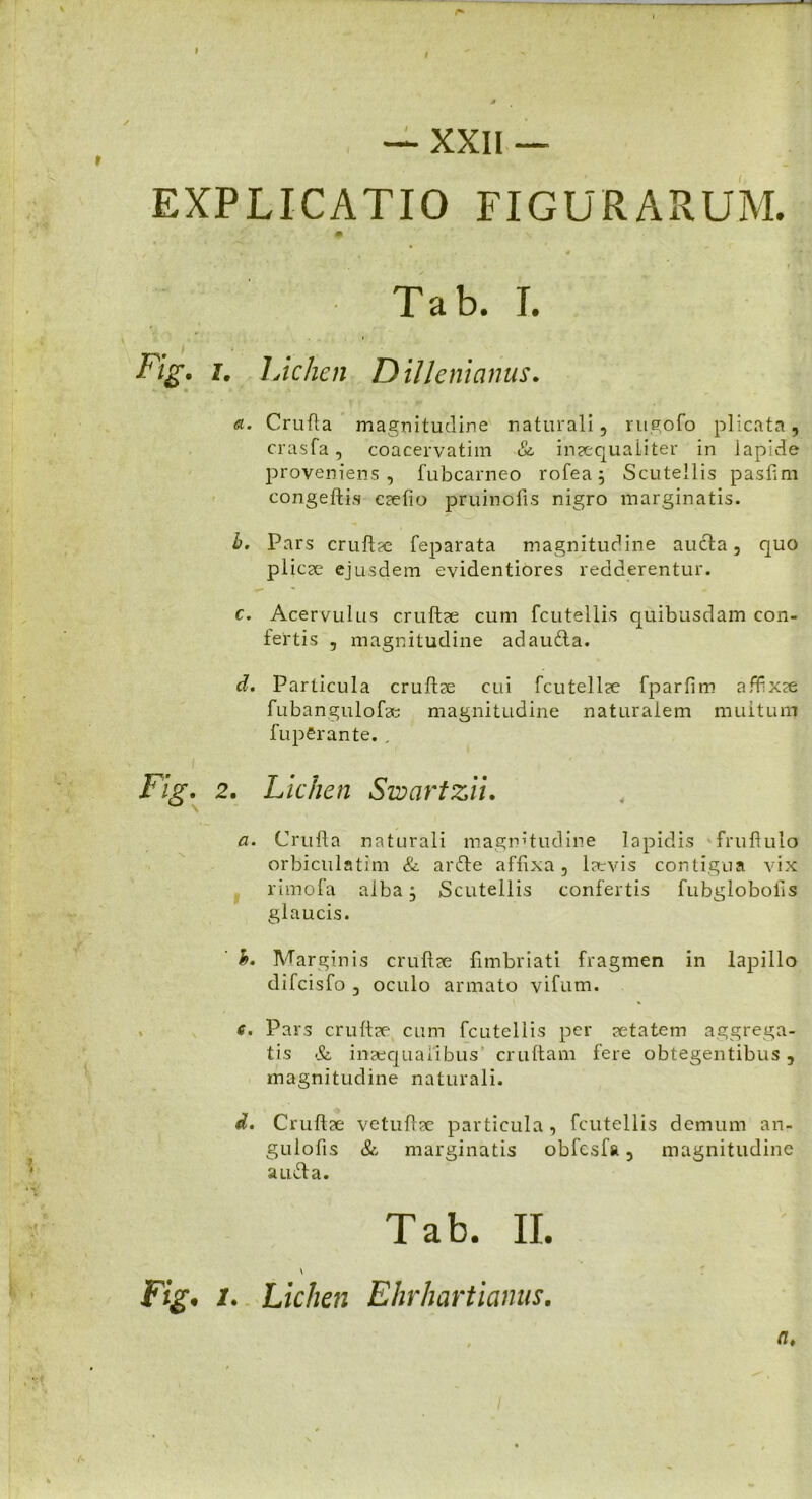 — XXII — EXPLICATIO FIGURARUM. Tab. I. Fig. i. Lichen Dii leni anus. et. Crufla magnitudine naturali, rugofo plicata, crasfa, coacervatim & inaequaliter in lapide proveniens, fubcarneo rofea j Scutellis pasiim congefti.s caelio pruinofis nigro marginatis. b. Pars cruftae feparata magnitudine aucla, quo plicae ejusdem evidentiores redderentur. c. Acervulus cruftae cum fcutellis quibusdam con- fertis , magnitudine adaufta. d. Particula cruftse cui fcutellae fparfim affixae fubangulofae magnitudine naturalem multum fup£rante. . Fig. 2. Lichen Swartzii. а. Crufla naturali magnitudine lapidis fruftulo orbiculatim & ardte affixa, laevis contigua vix rimofa alba j Scutellis confertis fubglobolls glaucis. h. Marginis cruftae fimbriati fragmen in lapillo difcisfo , oculo armato vifum. б. Pars cruftse cum fcutellis per aetatem aggrega- tis & inaequalibus' cruftam fere obtegentibus , magnitudine naturali. d. Cruftae vetuflsc particula, fcutellis demum an- gulofis & marginatis obfesfa, magnitudine aiuTa. Tab. II. \ Fig. /. Lichen Ehrhartianus. a*