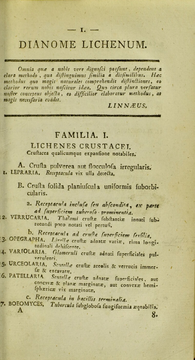 DIANOME LICHENUM. Omnia qua a nobis vere diguofci posfnnt, dependent a clara methodo , qua di(linguimus fimilia a dis fimi l ibus, Hac methodus quo magis naturales comprehendit diflinStiones, ea clarior rerum nobis nafcitur idaa. Quo circa plura mrfatur noftcr conceptus objefla , eo difficilior elaboratur methodus, at magis necesfaria evadit. LIN NJEUS* familia, i. LICHENES CRUSTACET. Cruftacea qualicumque expanfionc notabiles; A. Crufta pulverea aut flocculofa irregularis.- E. LEPRAR1A, Receptacula vix ulla dete&a* B. Crufta folida planiufcula uniformis fuborbi- cularis. a. Recept^cuda inclufa few abfcondifa^ ex parte ad fuper friem tubero fo - prominentia. .2» VERRUCARTA. Thalami crufta? fubftantia? innati fub-i rotundi poro notati vel pertuli* Recevtacult ad crufldt fuperfidem fetfiUa. 3. J EGRAPHA. l.irolla crufbe adnata? varice, rima longi- tudinali dehilcrnre. 4. VARTOLARIA, Glomeruli crufta» adnati fuperficiales pul- verulenti. r 5. URCEOLARIA. Scutella crufh? areolis & verrucis immer- fe & excavata?* 6. PATELLARTA Scutella erugar adnata? fu perfici ales , aut concava? & plana? marginata?, aut convexa? licmi- iplia?rica? vix marginata?* C. Receptacula in bacillis terrni^alia. 7. BOEOMYCES. Tubercula fubglobofa fungiformia jeqnabilfau 8. A