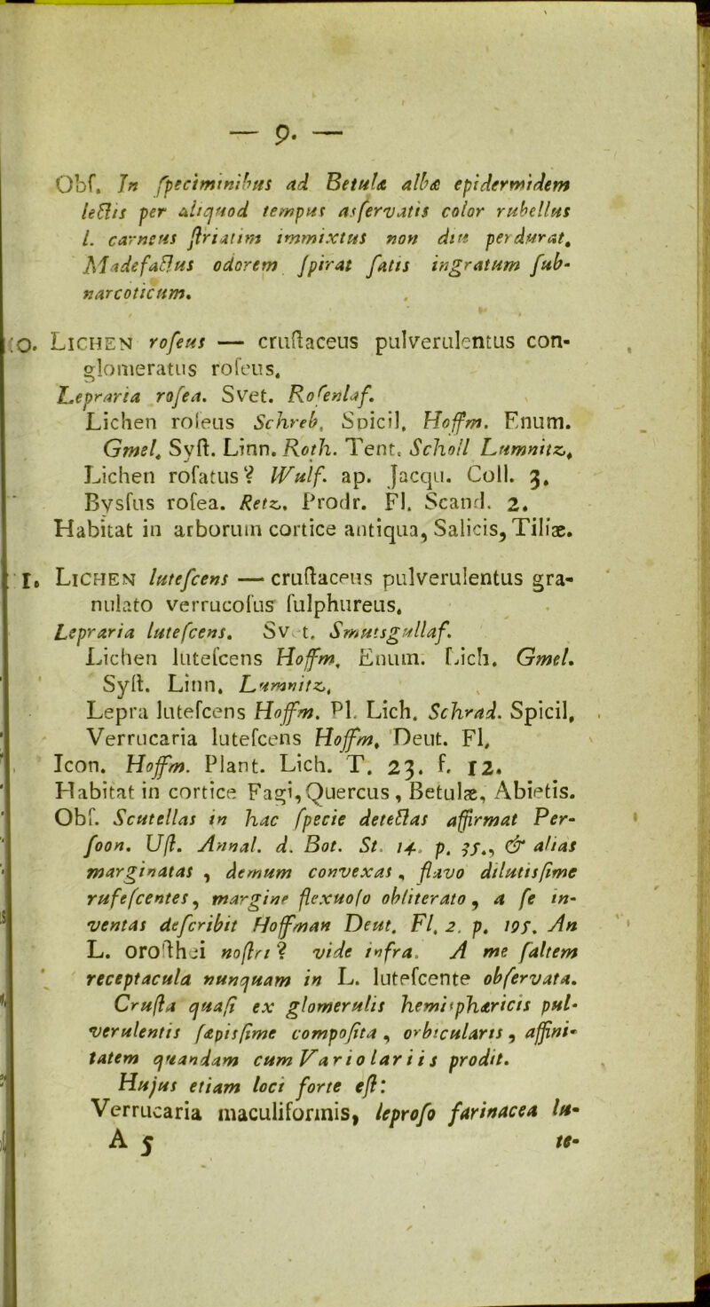 p. — I Ohf, Jn fpeeimmibtts ad Betula alba epidermidem ieftts per aliquod temput as fervatis color rubellus l. carneus flriatim immixtus non diu perdurat, Madefaflus odorem fpirat fatis ingratum fub- narcoticum. t ™ » q. Lichen rofetes — cruftaceus pulverulentus con- glomeratus rofeus, Leprana rofea. Svet. Rofenlaf. Lichen rofeus Schreb, Spicii, Hoffm. Enum. Gmel, Syft. Linn,Roth. Tent. Scholl Lnmnitz, Lichen rofatusV IVulf. ap. Jacqu. Coli. 3. Bysfus rofea. Retz„ Prodr. FI. Scand. 2. Habitat in arborum cortice antiqua, Salicis, Tiliae. r6 Lichen lutefcens — cruftaceus pulverulentus gra- nulato verrucofus fulphureus, Lepraria lutefcens. Sv t, Smutsgullaf\ Lichen lutefcens Hoffm, Enum. Licii. Gmel. Syfl. Linn. L umnitz,4 Lepra lutefcens Hoffm. ^1. Lich. Schrad. Spicii, Verrucaria lutefcens Hoffm, Deut. Fl, Icon. Hoffm. Piant. Lich. T. 23. f. 12. Habitat in cortice Fagi,Quercus , Betulse, Abietis. Obf. Scutellas in hac fpecie detettas affirmat Per- foon. Ufl. Annal. d. Bot. St. /-f. p. ?/., & ahas marginatas , demum convexas, flavo dilutis fime rufefeentes, margine flexuofo obliterato, a fe in- ventas de fer ibit Hoffm an Deut. FI, 2. p. I9f. An L. orofthei nofln ? vide infra, A me faltem receptacula nunquam in L. lutpfcente obferyata. Crufla qua fi ex glomerulis hemitpharicis pul- verulentis fapisfime compofita , orbicularis , affini* tatem quandam cum Var i 0 lar i i s prodit. Hujus etiam loci forte e fi' Verrucaria maculiformis, leprofo farinacea fot-
