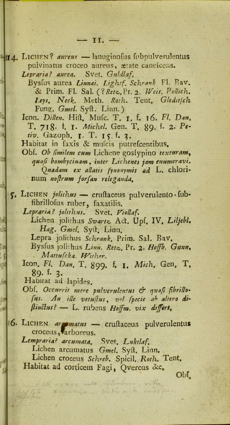I II. Tl* ita, r%' Ia fas 4 Ijtil Ip1'P 'CliW Di» _ f ( ' i \f fct* 0 Lichen? aurem —lanuginofus fubpulverulentus pulvinatus croceo aureus, astate caneicens. Lepraria? aurea. Svet. Guldlaf\ Bysfus aurea Linnai. Lightf’ Schrank FI. Bav. & Prim. FI. Sal. (? Retz>, Pr. 2. Weis, Pollch. 7,^/. Neck. Meth. Roth. Tent, Gleditjch Fung, Gwf/. Syft. Linn.) Icon. DUlen. Hift, Mufc. T. t, f. 16. Fi Da», T. 71 g. f. 1. Michel. Gen. T, g9# 1. 2. Pe- tiv. Gazoph. r. T. 1 f. f. 3. H abitat in faxis & mufcis putrelcentibus. Obi. Ob flmilem cum Lichene goslypino texturam, bombycinam, Lichenes jam enumeravi. Quadam ex allatis fynonymis ad L. chlori- num noftrum forfan releganda. Lichen jolithus — cruftaceus pulverulento - fub- tibrillofus ruber, faxatilis. Leprjria? jolithus. Svet. Viollaf. Lichen jolithus Swartz, Ad. Upf, IV. LiljebL Hag. Gmel. Syft. Linn. Lepra jolithus Schrank. Prim. Sal. Bav. Bysfus jolithus ZJ«». Pr. 2* Hoffb. Gun»t . Adattufcka. Wither. Icon. F/. D4*. T. g99. f. 1. Mich, Gen. T. 89- f* 3- Habitat ad lapides. Obf, Occurrit mere pulverulentus & cjua/t fibrilh• //*;. dn ille vetuftus, fpecie <2^ altero ds- flinttus? — L. rubens Hoffm. vix differt* (6* Lichen armmatus — cruftaceus pulverulentus croceus, ▼arboreus. Lempraria? arcumata. Svet. Luktlaf. Lichen arcumatus Gmei Syft. Linn. Lichen croceus Schreb. Spicii. Roth. Tent. Habitat ad corticem Fagi, Qvercus occ* Obf,