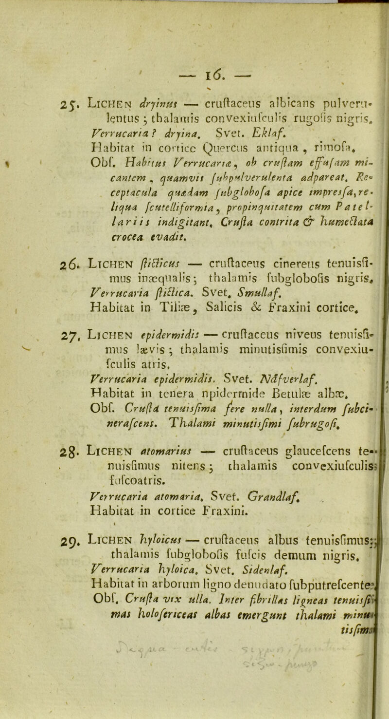 — 1(5. — % V 2J. Lichen dryinus — cruftaceus albicans pulveru- lentus 5 thalamis convexiufculis rugolis nigris. Verrucaria ? dryina. Svet. Eklaft Habitat in cortice Quercus antiqua , rimofa. Obi. Habitus Verrucaria , oh crufiam effufam mi- cantem , quamvis Jubpulverulfnta adpareat, Re* ceptacula quadam fnbglobofa apice imprej fia^re • liqua [cutelliformia , propinquitatem cum Pate E lar ii t indi git ant< Crufia contrita & JiumeUatA crocea evadit. 2 6* Ltchen (litticus — cruftaceus cinereus tenuisfi- mns inaequalis \ thalamis fubglobofts nigris, Verrucaria ftithea. Svet. Smullaf\ Habitat in Tiliae, Salicis & Fraxini cortice, 27, Lichen epidermidis — cruftaceus nivens tenuisti» mus laevis ; thalamis minutisumis convexiu- fculis atris, Verrucaria epidermidis. Svet. AIdfverlaf. Habitat in tenera npiderrnide Betulae albae. Obf. Crufld tenuisjima fere nulla, interdum fubcim nerafeens. Thalami minutisjimi fubrugofi\ 28- Lichen atomarius — cruftaceus glaucefcens te«< nuisfiraus nitens 3 thalamis convexiufculis; fufeoatris. Verrucaria atomaria< Svet. Grandia}\ Habitat in cortice Fraxini. » > 29. Lichen hyloicus — cruftaceus albus tenuisfimus: J thalamis fubglobolis fufeis demum nigris. Verrucarta hyloica, Svet, Siden/af. Habitat in arborum ligno denudato fubputrefcenteq Obf. Crufia vix ulla. Inter fibrillas ligneas tenuisfi\ mas holofenceas albas emergunt thalami minuiJ tisfimi