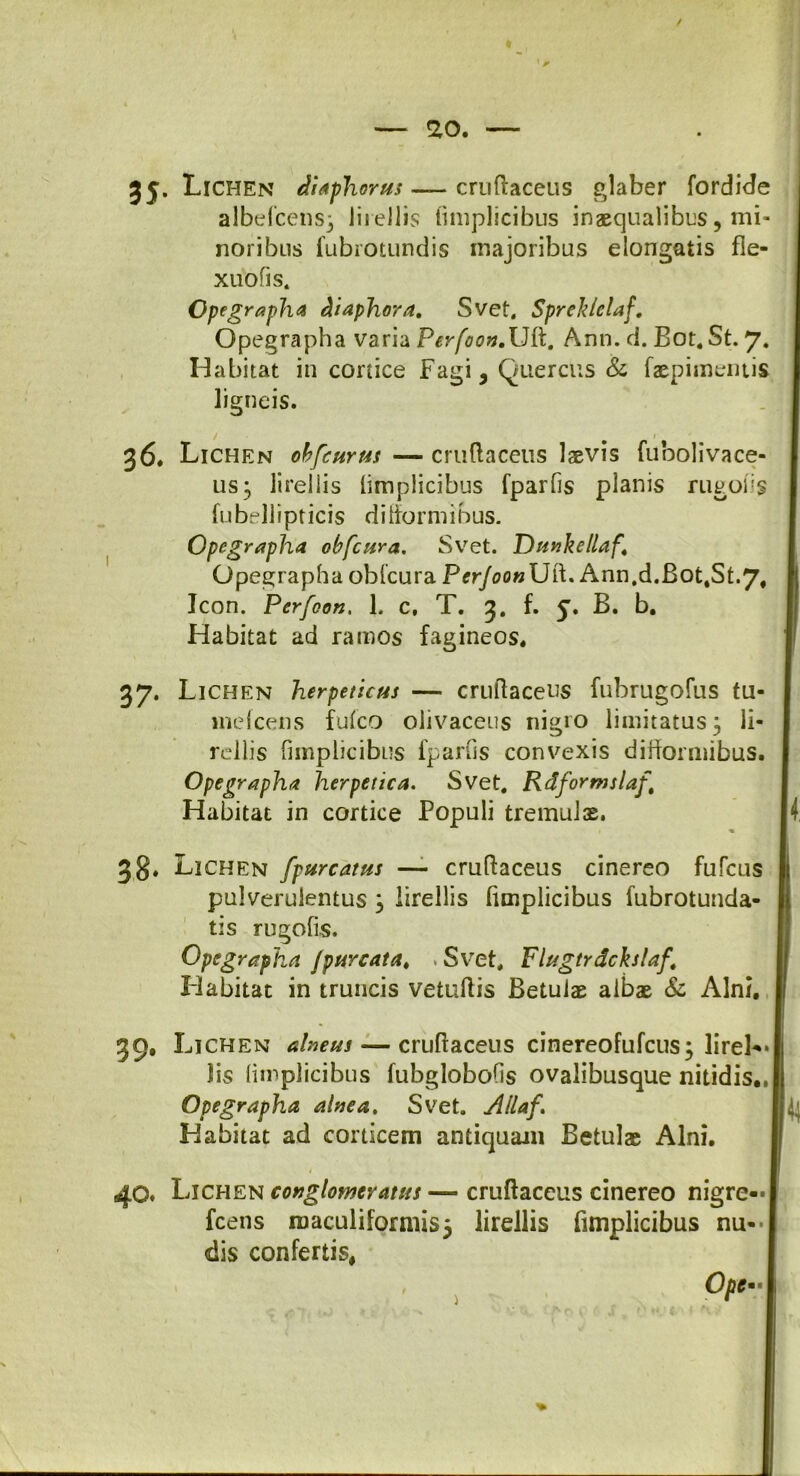 3y. Lichen diaphorus — cruflaceus glaber fordide albefcens} liiellis fimplicibus inaequalibus, mi- noribus fubrotundis majoribus elongatis fle- xuofis. Opegrapha diaphora, Svet. Spreldelaf, Opegrapha varia Ferfoon.Ufl. Ann. d. Bot. St. 7. Habitat in conice Fagi3 Quercus & faepimentis ligneis. 3 6. Lichen obfcurus — cruflaceus laevis fubolivaee- us; lirellis fimplicibus fparfis planis rugofs fubellipticis difformibus. Opegrapha obfcura. Svet. Dunkellaf\ Opegrapha obfcura Perjoon Uft. Ann,d.Bot4St.7# Icon. Pcrfoon. 1. C, T. 3. f. B. b. Habitat ad ramos fagineos. 37* Lichen herpeticus — cruflaceus fubrugofus tu- meIcens fufco olivaceus nigro limitatus 3 li- rellis fimplicibus fparfis convexis difformibus. Opegrapha herpetica. Svet, Rdformslaft Habitat in cortice Populi tremulas. ( 38. Lichen [purcatus —- cruflaceus cinereo fufcus pulverulentus 3 lirellis fimplicibus fubrotunda- tis rugofis. Opegrapha Jp urcat a, • Svet, Flugtrdckslaf, Habitat in truncis vetuffis Betulae albae & Alni, 39* L ichen alneus — cruflaceus cinereofufcus; lireL* lis fimplicibus fubglobofis ovalibusque nitidis.. Opegrapha alnea, Svet. Allaf, Habitat ad corticem antiquam Betulae Alni. 40. Lichen conglomeratus — cruflaceus cinereo nigre- fcens roaculiformis3 lirellis fimplicibus nu- dis confertis,
