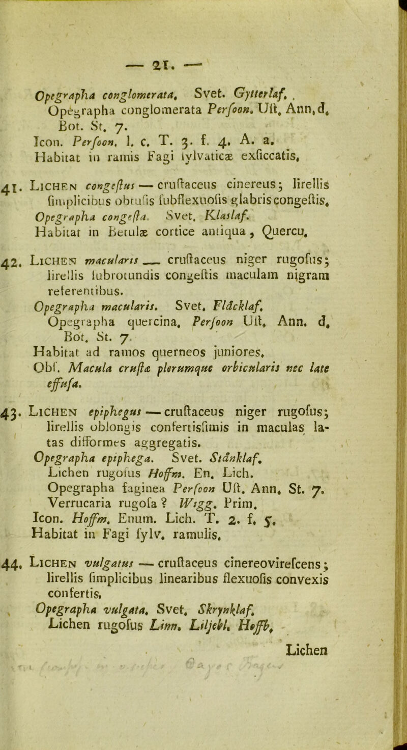 — 21. — Opegrapha conglomerata, Svet. Gyttcrhf* . Opegrapha conglomerata Perfoon, Ult, Ann,d* Bot. St. 7. Jcon. Perfoon, 1. C. T. 3* f* 4* a* Habitat in ramis Fagi tvJvaticse exftccatis* 41. Lichen congeflus— cruftaceus cinereus; lirellis fin.plicibus obrutis fubflexuotis glabris congeftis* Opegrapha congefla. Svet, Klaslaf. Habitat in Betulae cortice antiqua 9 Quercu, 42. Lichen maculans _ cruftaceus niger rugofus; lirellis lubrotundis congeftis maculam nigratu reterentibus. Opegrapha macularis, Svet* Fldcklaf\ Opegrapha quercina. Perjoon LHt* Ann* d* Bot. St. 7- Habitat ad ratnos querneos juniores* Obi. Macula crufla plerumque orbicularis tisc late efufa. I ' / 43. Lichen epiphegus— cruftaceus niger rugofus; lirellis oblongis confertisftmis in maculas la- tas diftbrmes aggregatis. Opegrapha eptphega. Svet. Stdnhlaf. Lichen rugoius Hoffm. En. Lich. Opegrapha faginea Perfcon Uft. Ann* St. 7. Verrucaria rugofa ? Wtgg, Prim. Icon. Hoffm, Enum. Lich. T. 2» f. 5* Habitat in Fagi fylv* ramulis* 44. Lichen vulgatus — cruftaceus cinereovirefcens; lirellis fimplicibus linearibus flexuofis convexis confertis, Opegrapha vulgata* Svet* Skryn\laf, Lichen rugofus Linrt. Ltljebl, Hoffb# - ! Lichen