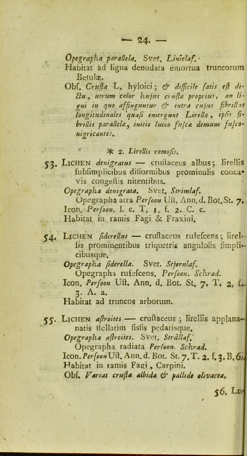 — 24- — Opegrapha parallela,, Svef. Lini eia fi • Habitat ad ligna denudata emortua truncorum Betulx. Obf. Crufia L* hyloici; & difficile fatis efl di- Slu, utrum color hujus crufla proprius, an li• %ni in quo affinguntur & intra cujus fibrill i t longitudinales 'qua fi emergunt Lirella , i piis fi- brillis parallela y initio luteo fiufca demum fufco- nigricantes. 2. LireUis ratnofis, jj. Lichen denigratus — crultaceus albus; lirellis lubfimplicibus difformibus prominulis conca* vis congeftis nitentibus. Opegrapha deni grata, Svet* Strimlaf, Opegrapha atra Perfoon Uli. Ann.d. Bot. St» 7. Icon. Perfoon, 1. c. T. f. f. 2* C. c. Habitat in ramis Fagi & Fraxini. Lichen fidereRus — cruftaceus rufefcens; lirel- lis prominentibus triquetris angulofis (impii** cibusque. Opegrapha fiderella. Svet. Stjemlaf\ Opegrapha rufefeens. Perfoon. Schrad. Icon. Perfoon Uft. Ann, d. Bot. St. 7, T. 2. f*. 3. A. a. Habitat ad truncos arborum. 55. Lichen afiroites — cruftaceus ; lirellis applana- natis Ucllatim fislis pedatisque. Opegrapha afiroites. Svet. Strallaf. Opegrapha radiata Perfoon. Schrad. Icon. Per[oon\]i\, Ann. d. Bot. St. 7.T. 2» f. J»B.6h Habitat in ramis Fagi, Carpini. Obf. Variat crufia albida & pallidi olivaceat j6. k* ✓