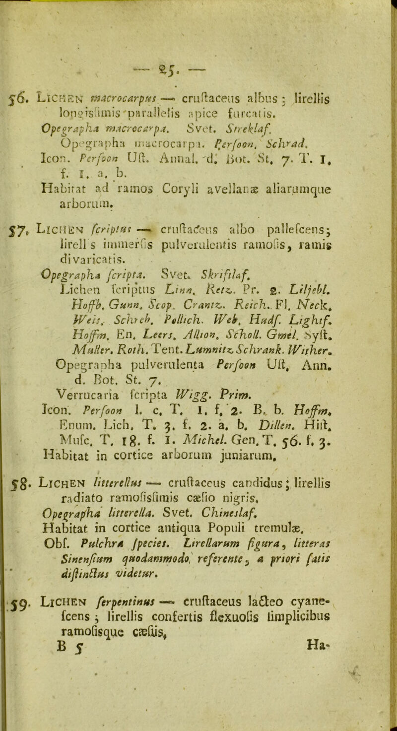 56. Lichen macrocarpus cruflaceus albus : lirellis longissimis'parallelis apice {urcatis. Opegrapha rnacrocarpa. Svet. Streklrf. Opegrapha macrocarpi. Perfoon, Schrad, Icon. Pcrfvon Uft. Annal, d. iiot. St, 7. T. I, f. I. a. b. Habitat ad ramos Coryli avellanae aliarumque arborum. 57» Lichen [criptas — cruflaceus albo pallefcens; lireil s immerus pulverulentis ramofis, ramis divaricatis. Opegrapha feripta. Svet, ShnfUf Lichen feriptus Lmn, Retz,. Pr. 2. Liljebl. Hoffb, Gunn, Scop, Crantz,. Reich.. FI. iVWk. JVeis,- Schreb, Politch* Web, Hudf Lightf Hojftn. En. Reers, Albo», Scholl. Gmel, Sylt. Mulier. Roth. Tent. Lumnitz, Schrank. IVuher9 Opegrapha pulverulenta Perjoon Uit, Ann. d. Bot, St. 7. Verrucaria feripta Wigg. Prim. Icon. Perfoon 1. c, T, 1, f, 2* B. b. Hojftn♦ Enum. Lien, T. 3. f. 2. a. b, Billen. Hili, Mufc, T, i$, f. I. MichcL Gen. T, 56. f» 3. Habitat in cortice arborum juniarum. ✓ » . 58- Lichen litterellus — cruftaccus candidus; lirellis radiato ramofisfimis caefio nigris* Opegrapha littere/la. Svet. Chtneslaf Habitat in cortice antiqua Populi tremulae. Obf. Pulchra jpecies. Ltrcllarum figura, litteras Sinenfmm quodammodo, referente y a priori fatis dijhnftus videtur. 59. Lichen ferpentinus — cruflaceus la£teo cyane- fcens } lirellis confertis fiexuolis limplicibus ramofisque caefus# B 5 Ha-