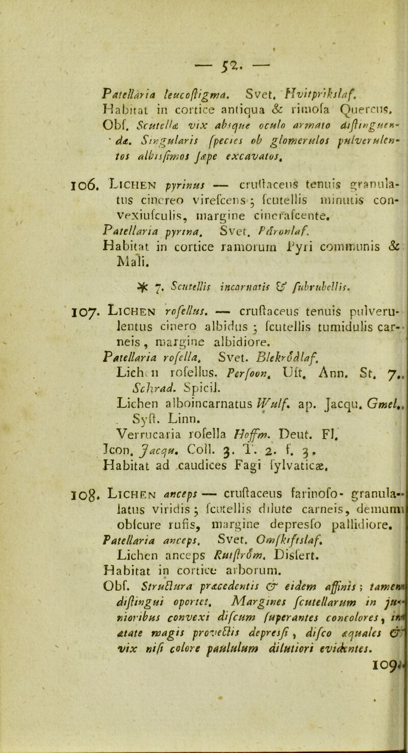« Patellaria leucofligma. Svet. Hvitprlkslaf.\ Habitat in cortice antiqua & rimofa Quercus, Obf, ScutclU vix absque oculo armato dtfitngstev ' da. Singularis fpeaes oh glomerulos pulver ulcn- Jos albnftmos Jape excavatos, 106. Lichen pyrinus — cruttacens tenuis granula- tus cinereo virefeens • icutellis minutis con- vexiufculis, margine cinefafcente. Patellaria pyrtna, Svet. Pdronlaf’ Habitat in cortice ramorum Fyri communis & Mali. 7, Scutellis incarnatis & fubrubcllis, 107. Lichen rofellus. cruftaceus tenuis pulveru* lentus cinero albidus 3 femellis tumidulis car- neis , margine albidiore. Patellaria rofella, Svet. Blekrodlaf. Lieh.11 rofellus. Perfoon4 Uft# Ann. St. 7., Schrad. Spicii. Lichen alboincarnatus Wulf* ap. Jacqu. Gmel . Syft. Linn. Verrucaria rofella Iloffim. Deut. FI, Jcon. Jacqu. Coli. 3. T. 2* f. 3. Habitat ad caudices Fagi lylvaticae. iog* Lichen anceps — cruftaceus farinofo- granula- latus viridis 3 fcutellis dilute carneis, demunu oblcure rufis, margine depresfo pallidiore, Patellaria anceps, Svet. Omfktftslaf, Lichen anceps Rutflrom, Dislert. Habitat in cortice arborum. Obf. StruBlura procedentis Cr eidem affinis ; tamen* diftingui oportet. Margines fcutellarum in jtt“ nioribus convexi di [cum fuperantes concolores, inn atate magis provettis depresfi, difeo aquales 0' vix nift colore paululum dilutiori evidentes. I09.-