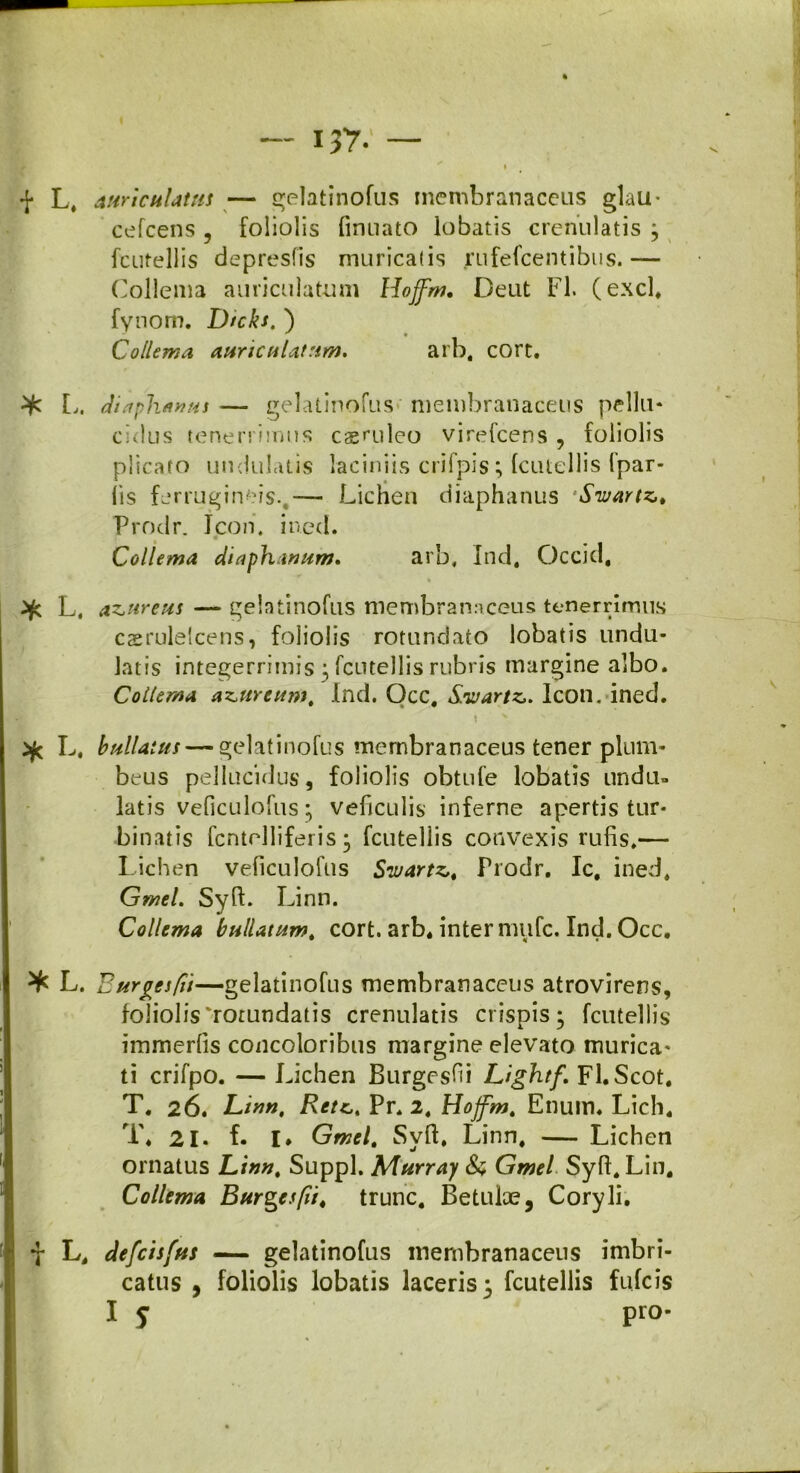 -j- L. anricnlattts — gelatinofus membranaceus glau* cefcens , foliolis finuato lobatis crenulatis ; fcutellis depresfis muricatis rufefeentibus.— Collema auriculatum Hoffm. Deut FI. (exci, fynom. Dtcks. ) Collema, auriculatum. arb. cort. L. diaphamts— gelatinofus membranaceus pellu* eidus tenerrimus csruleo virelcens , foliolis plicato undulatis laciniis crifpis; fcutellis fpar- lis ferrugineis. — Lichen diaphanus ‘Swartz» Prodr. Icon. ined. Collema diaplnanum. arb, Ind, Occid, • L, az^ureus — gelatinofus membranaceus tenerrimus casrulelcens, foliolis rotundato lobatis undu- latis integerrimis ^ fcutellis rubris margine albo. Collema a^ureum, Ind. Qcc. Savartz,. Icon. ined. L. bullatus — gelatinofus membranaceus tener plum- beus pellucidus, foliolis obtufe lobatis undu- latis veficulofus; veficulis inferne apertis tur- binatis fcntrlliferis ; fcutellis convexis rufis.— Lichen veficulofus Swartz,. Prodr. Ic, ined. Gmel. Syft. Linn. Collema bullatum, cort. arb. inter mtifc. Ind. Occ. ^ L. Eurgesfii—gelatinofus membranaceus atrovirens, foliolis'rotundatis crenulatis crispis; fcutellis immerfis concoloribus margine elevato murica- ti crifpo. — Lichen Burgesfii Liglntf. Fl. Scot. T. 26. Linn, Rete, Pr. 2, Hojfm. Enum. Lich. T. 21- f. I» Gmel. Svft. Linn. — Lichen •/ ornatus Linn. Suppi, Murray & Gmel SyfI. Lin. Collema Burgesfii, trunc. Betulae, Coryli. •f L. defeisfus — gelatinofus membranaceus imbri- catus , foliolis lobatis laceris; fcutellis fufeis I 5 pro-