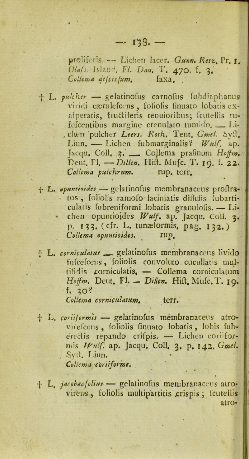 ' ~ 138. — proliferis. — Lichen lacer. Gunn, Retz, Pr. 1, Olafs. islanrf. FL Dan. T. 470. f, 3. Collem a dejcisjum* faxa. f L. pulcher — gelatinofus carnofus fubdiaphanus viridi caerulefccns , foliolis linuato lobatis ex* ai peratis, fructiferis tenuioribus; fcutellis ru- fefcentibus margine crenulato tumido. Li- , clv. n pulcher Leers. Roth, Tent. Gmel. byft* Linn. — Lichen fubmarginalisV Wulf. ap. Jacqu. Coli, 3. . Coliema prafinum Hoffw. Petit. FI. —Dtllen. Hift. Mufc. 1’. 19. f. 22. Coliema pulchrum, rup. terr, p L. vpunthiJ.es — gelatinofus membranaceus proftra- . tus , foliolis ramofo laciniatis diffufis fubarti- culatis fubreniformi lobatis granulofis. — Li- • chen opuntiojdes Wulf,. ap. Jacqu. Coli. 3. p. 13 3. (cfr. L. tunaeformis, pag. 132.) Coliema opuntioides, rup, f L. corniculatus gelatinofus membranaceus livido fufcefcens, foliolis convoluto cucullatis mul- tifidis corniculatis* — Coliema corniculatum Hoffm. Deut. Fl. — Dilien, Hift* Mufc. T. 19. f. 30? Coliema cormculatum4 terr. \ F L, cor ii for wis — gelat inofus membranaceus atro- viiefcens 9 foliolis finuato lobatis, lobis fub- ereclis repando crifpis. — Lichen coriifor- mis Ipulf, ap. Jacqu. Coli* 3, p, 142. Gmel, . Syft. Linn. Coliema corti for me, • • • f L. jacobaa(olitts —* gelatinofus membranaceus atro- virens, foliolis multipartitis .crispis; fcutellis atro-