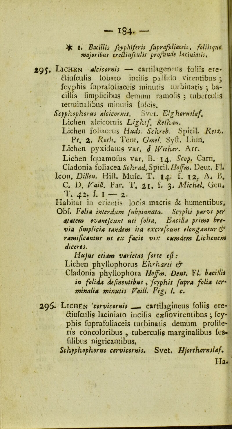 184- I» Bacillis fcyphiferis fupr a foliaceis, foliisqnt majoribus erettiufculis profunde laciniatis. Lichen alcicornis — cartilageneus foliis ere- ctiufculis lobato incilis pallido virentibus -> fcyphis fupraioliaceis minutis turbinatis , ba- cillis fimplicibus demum ramofis j tuberculis terminalibus minutis fulcis. Scyphophorus alticomis. Svet. Elghornslaf\ Lichen alcicornis Lightf‘ Relhan. Lichen foliaceus Huds. Schreb. Spicii. Rett, Pr. 2. Roth, Tent. Gmel. Syft. Linn, Lichen pyxidatus var. d iVttlner. Arr. Lichen fquamofus var. B. 14. Scop. Carn, Cladonia foliacea Schrad, Spicii. Hoffm. Deut. FI. Icon. Dillcn. Hift. Mufc. T« 14. f. t2; A. B. C. D. Faill. Par. T. 21. f* 3* Michel. Gen* 1 * 4 f. I 2 • Habitat in ericetis locis macris & humentibus. Obf. Folia interdum Jubpinnata, Scyphi parvi per atatem evanejcunt uti folta. Bacilla primo bre- via /implicia tandem ita cxcrefcunt elongantur & ramificantur ut ex facie viti eum dem Lichenem diceres. Hujus etiam varietas forte efl : Lichen phyllophorus Ehrharti & Cladonia phyllophora Hoffm. Deut. F/. bacillis in folida definentibus , fcyphis fupra folia ter- minalia minutis Faill, Ftg. /. c. 296- Lichen 'cervicorms cartilagineus foliis ere- diufculis laciniato incifis caeliovirentibns, fcy- phis fuprafoliaceis turbinatis demum prolife- ris concoloribus , tuberculis marginalibus fes- (ilibus nigricantibus. Schyphophorus cervicornis. Svet. Hjorthornslaf. Ha.
