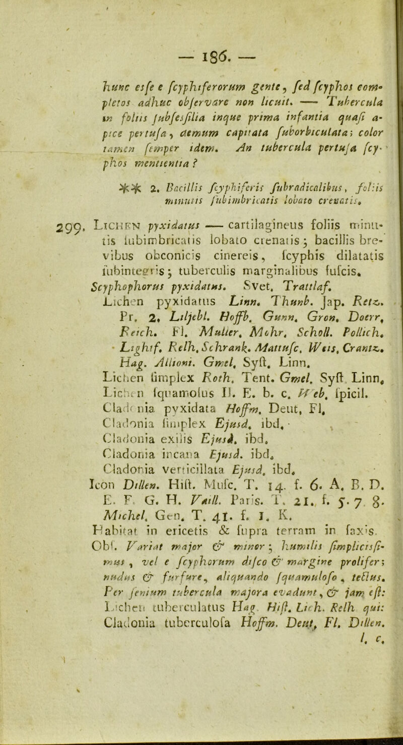 f — 186. — «. . r hunc csfe e fcyphtfer orum gente , fed fcyphos com- pletos adhuc objervare non licuit* Tubercula in foliis fub/esflia inque prima infantia quafi a- p:ce per tufa, demum capitata fuborbiculata; color tamen femper idem. An tubercula per tufa fcy•v phos mentientta ? ** 2. Bacillis fcyphiferii fubradicalihus, foliis minutis fuhimbricatis louato crenatis. 299, Lichen pyxidatus — cartilagineus foliis minu- tis iubimbricatis lobato cienatis; bacillis bre- vibus obconicis cinereis, icyphis dilatatis fubintegris; tuberculis marginalibus fulcis* Scyphophorus pyxidatus. Svet. TrattUf. Lichen pyxidatus Linn. Thunb. Jap. Retz,. Pr, 2* Etljebl. Hojfb, Gunn, Grcn, Doerr, Reich. FJ. Multer, Mohr, Scholl. Pollich, Ltghtf. Relh, Schrank» Mattufc, PVets, Crantz,. Hag. Allioni. Gmel, Syft. Linn. Lichen limplex Roth, Tent. Gwd. Syft Linn, Lichen Iqnamolus II. E. b. c. H eb, Ipicil. Clade nia. pyxidata Hoffm, Deut, FI, Cladonia limplex Ejusd, lbd, • * Cladonia exilis Ejusd, ibd. Cladonia incana Ejusd. ibd, Cladonia verticillata Ejusd, ibd. Icon Dtlltn. Hili. Mufc. T. 14. f. 6* A# B. D. E. F» G. H. VailL Paris. T, 21. f. 5-7. g. Michel, Gc-n, T. 41. f. J, K. P abitat in ericetis & fupra terrain in fax»s. Obi. Variat major & minor * humilis fimphcisfi- mus , vel e fcy chorum dtfco & margine proh fer; nudus & furfure, aliquando fquamulofo , tcflus. Per penium tubercula majora evadunt ^ & jam (ft: Lichen tuberculatus HVqn Hifl, Lnh. Relh qui: Cladonia tuberculofa Hoffm. Deutf FI. Ddlen, L G 'i