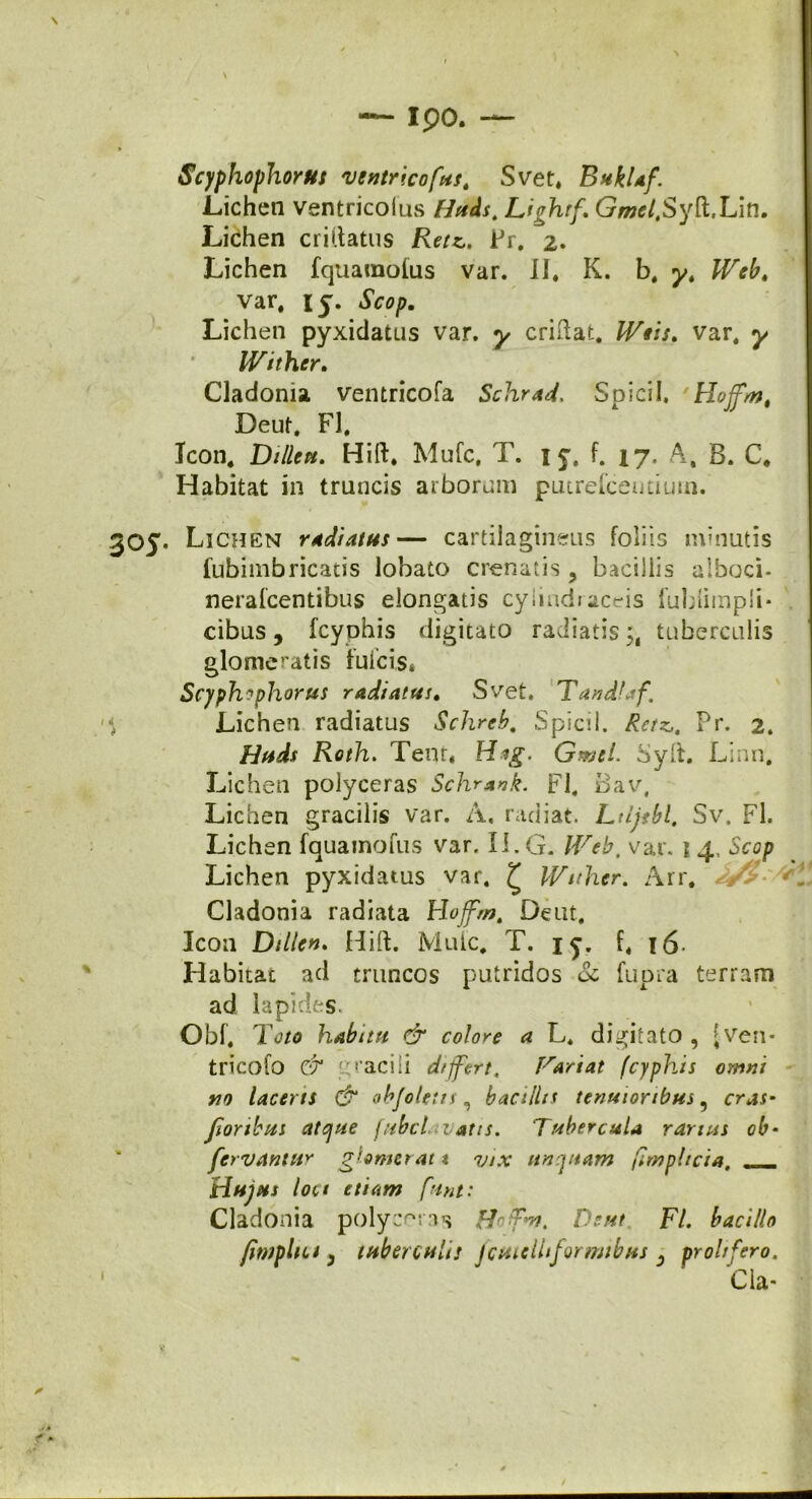 Ipo. Scyphophorus ventricofus. Svet* BukUf. Lichen ventricoius Huds, Lightf.\Gw<?/,Syft.Lin. Lichen criftatus RetzPr. z- Lichen fquamolus var. I], K. b. y, Web, var, ij. Scop. Lichen pyxidatus var. y criftat. Wtis. var, y Wtther. Cladonia ventricofa Schrad, Spicii. Hoffmt Deut. FI, Teon, Dillen. Hift. Mufc, T. 1 y, f. 17. A. 8. C, Habitat in truncis arborum putrefeentium. 305. Lichen radiatus— cartilagineus foliis minutis fubimbricatis lobato crenatis ? bacillis aihoei- neralcentibus elongatis cyiindraceis fublimpli- cibus, fcyphis digitato radiatis tuberculis glomeratis fulcis* Scyphophorus radiatus• Svet, Tandbrf, '< Lichen radiatus Schreb. Spicii. Rctz,t Pr. 2. Huds Roth. Tent, Hag. GmeL Syft. Linn, Lichen polyceras Schrank. FI. Bav, Lichen gracilis var. A. radiat. Ldjtbl. Sv. FI. Lichen fquamofus var, II. G. Web, var. 1 4, Scop Lichen pyxidatus var. £ Wtther. Arr. **! Cladonia radiata Hoff,/w. Dent, Icon Dillen. Hift. Mule. T. if. f, 16 Habitae ad truncos putridos & fupra terram ad lapides. Obf, Toto habitu & colore a L. digitato , [ven* tricofo & gracili differt, Fariat fcyphis omni no laceris & obf oletis, bacillis tenuioribus, cras- foribus atque fubcl vatis. Tubercula rarius ob- fcrvantuy glomerat t vtx unquam fimphcia, Hujus loci etiam [aut: Cladonia poly coras Afr fm. De ut FL bacillo fimplm 3 tuberculi: fcutelhformtbus 0 prolrfero, * 'Cia- y