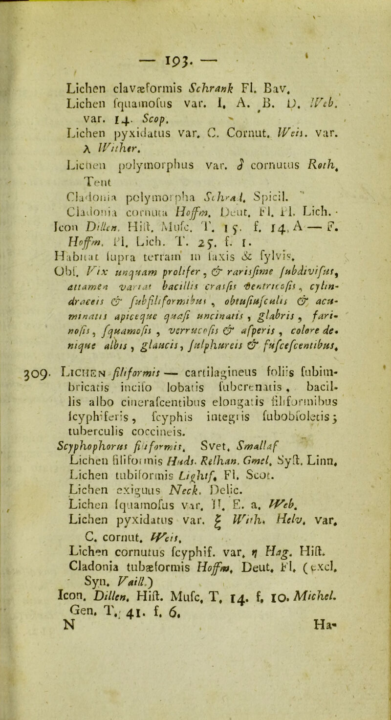 — 193- — I Lichen claviformis Schrank FI. Bav, Lichen lquamofus var. I, A. ,B. L>. Web, var. 14. Scop, Lichen pyxidatus var. C. Cornut. Weis. var. A Withtr, Lichen polymorphus var. S cornutus Rotht Tent 1 Cladonia polymorpha Sthrai, Spicii. Cladonia cornuta Hoffm, Dent. FI. i 1. Lich. • Icon Di lien, Hilt. Mufc. T. 1 y. f. 14, A — F. Hojfm, FI. Lich. T. 2$\ f. I. Habitae lupra terram m laxis & fylvis. Obi. Vix unquam proh fer , <fr rari i fime fubdivifius^ attamen variat bacillis cras fis Gentritofis, cyhn- dracets & fiubfiliformibus , obtufiujculis & acu- minatis aptet que qua fi uncinatis , glabris ? no fis ^ fquamofis , verrucofis & afperis , colone de• ntque albis , glaucis, Julphureis & fuf cefic entibus. Lichen filiformis— cartilagineus foliis Cubitn- bricatis incilo lobaus fubcrenatis, bacil- lis albo cinerafcentibus elongatis filiformibus Icyphiferis, fcyphis integris fubobiolecis 3 tuberculis coccineis. Scyphophorus fia formis, Svet. SmalUf Lichen fili(bimis //Wj. Rillnan. Gmsl, Sylt. Linn, Lichen tubiforrnis Lightf FI. Scoc. Lichen exiguus NWL Delie. Lichen (quamofus vir. D. E. a, TVeb. Lichen pyxidatus var. £ IVith* Hcfa, var, C. cornut. IVeis, Lichen cornutus fcyphif. var. rj Hag, Hift. Cladonia tubaeformis Hoffm, Deut, FU (txcl, Syn. Vatllf) Icon. Dtllen, Hift. Mufc, T, 14. f, 10. Michel. Gen. T. 41. f. 6, N . Ha-