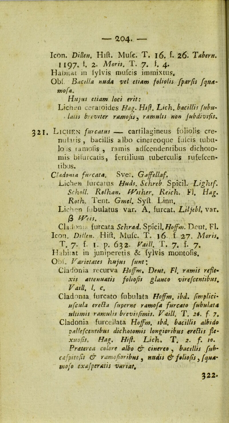 ac>4. — Icon. DUlen. Hift. Mufc. T, 16. f. Z6> Tabem. 1197. t. 2. Moris. T. y. 4. Ha ima t in lylvis mufc is immixtus* Obi. Bacilla nuda vel etiam foliolis fparfis fqua- mofa* Hujus etiam loci erit: Lichan ceraioides Hag. Hifl. Ltch. bacillis fubu- laus bitviter ramojis 5 ramulis non Jubdivifis. , Lichen furcatus — cartilagineus foliolis cre- nularis , bacillis albo cinereoque fulcis tubu- lo -.s raniofis , ramis adfcendentibus dichoto- mis bifurcatis, fertilium tuberculis rufeicen- t ibus. Cladonia fur cata. Svet. Gajfellaf. Lichen furcatus Huds. Schreb Spicii. Lightf. Seholl. Rtlhan. Wttlner. Reich. Fl, biag. Roth„ Tent. Gmel. Sy£1. Linn. Lichon lubulatus var. A, furcat. Liljcbl, var, /3 tVeis. Cia.Ion: furcata Schrad. Spicii, Hojfm. Dcut. Fl. Icon. Di lien. Hift. Mufc. T. j6 f 27. Adoris# T. 7. f. 1. p. 632. Vatii. T. 7, f. 7, Habirat in juniperetis & fylvis montofis. O bi„ Varietates hujus [unt\ Cladonia recurva Hojfm, Deut4 Fl. ramis refle• xi s attenuatis foliofis glauco vircjccntibus. Vatii, l. c. Cladoma furcato fubulata Hojfm, ibd. /implici• ufeula erebhi fuperne ramofa furcato fubulata ultimis ramulis brevia fimis. V dill. T. 26. f 7* Cladonia furcellata Hojfm. tbd. bacillis albido vaVefcerttibus dichotomis longioribus trcFlis fle• xuofis. Hag. Hift. Ltch. T. 2. f. 10. Prdterca colore albo & cinereo , bacillis fub- cdfpitcfis & ramofioribus 3 nudis & feliofis > [qua- tnofo e xajperatis variat# 322*