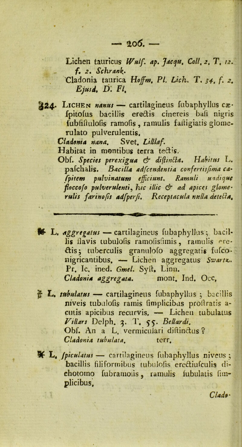 — g>o 6. — Lichen tauricus IVulf. ap. Jacejtt. Coli, 2t T, 12. f. 2. Sclnrank• 'Cladonia taurica Hoffim, P/. T. i*, f. Ejusd, D. F/, 1 » SJ24- L ichen #*#/*/ — cartilagineus fubaphyllus cae- fpitofus bacillis eredis cinereis bafi nigris iubfiftulofis ramofis , ramulis faftigiatis glome- rulato pulverulentis. Cladonia nana. Svet. Lilllaf. Habitat in montibus terra ted’s, Obf. Species perexigua & diflmlla, Habitas L. pafchalis. Bacilla adfcendentia confertisfima ca> fpitem pulvinatum efficiunt. Ramuli uvdicjue floccofo pulverulenti, hic illic & ad apices glome• rulis farinofis adfperfi. Receptacula nulla deiefiat L, aggregatus—cartilagineus fubaphyllus; bacil- lis flavis tubulofis ramofisfimis, ramulis ere- dis; tuberculis granulofo aggregatis fufco* nigricantibus. — Lichen aggregatus Swartz,* Pr. Ic4 ined. Gmel. Syit. Linn. Cladonia aggregata. mont. Ind, Occ, § L. tabulatus — cartilagineus fubaphyllus ; bacillis niveis tubulofis ramis limplicibus profiratis a- eutis apicibus recurvis. — Lichen tubulatus VilUrs Delph. 3. 1'* 55. Bellar di. Obf. An a L. vermiculari diftindus ? Cladonia tubulata. terr, 5f L4 /piculatus— cartilagineus fubaphyllus niveus ; bacillis filiformibus tubulofis erediufculis di- chotomo fubrarnoiis 5 ramulis iubulatis fim- plicibus. Clado •