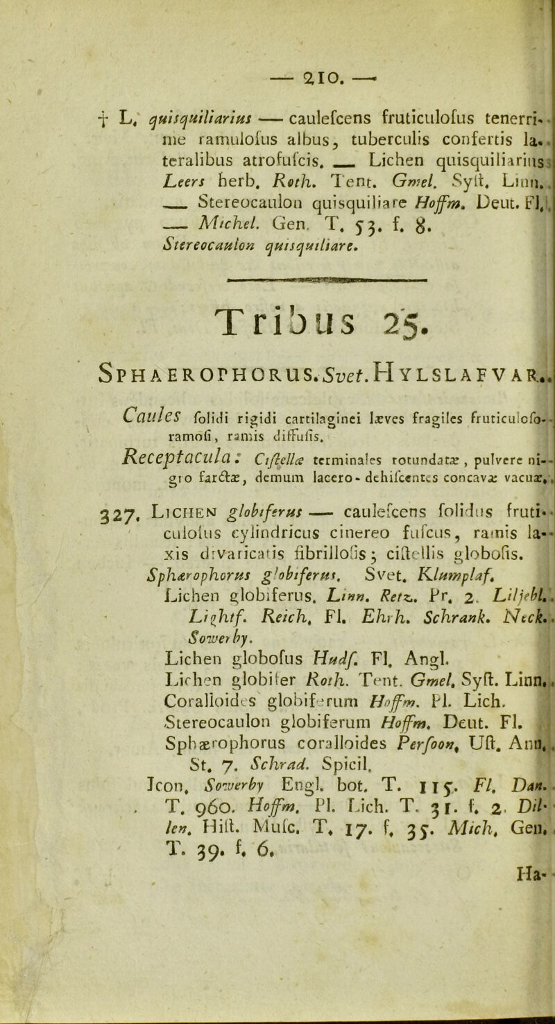t L, quis quili avius — caulefcens fruticulofus tenerri- | me ramulolus albus, tuberculis confertis la- teralibus atrofufcis. Lichen quisquiliarius Leers herb. Roth. Tent. Gmel. Syit, Linn. Stereocaulon quisquiliare Hojfm. Deut. FJ, Michel. Gen. T. 53. f. Stereocaulon quisquitiare. Tribus 25. SPHAEROrHORUS.5lJ£f.H YLSLAF V AR.. I C Clllies folidi rigidi cartilagi nci I^ves fragiles fruticuiofo- ' ej ■ ^ o o ramoii, ramis diftuiis. Receptacula: Ciflcllce terminales rotundata?, pulvere ni-- gro far&a:, demum lacero - dthilcentcs concava: vacua:,, • 327. Lichen globiferus— caulefcens folidus fruti- culolus cylindricus cinereo fufeus, ra*nis la- xis divaricatis fibrillohs; ciftellis globolis. Spharo phorus g!obiferut, Svet. K.luwp!aft Lichen globiferus. Linn. Retz.. Pr, 2. LUjebl.. Fifhtf. Reich, F1, Ehrh. Schrank. Neck» Soiveiby. Lichen globofus Hudf. FI, Angi. Lichen globiter Roth. Tent. Gmel, Syft. Linn. Coralioid- s globif-rum Hojfm. Pl. Lich. Stereocaulon globiferum Hojfm. Deut. FI. Spbae>ophorus coralloides Perfoon, Uft. Anii, . St, 7, Schrad. Spicii, Jcon, Sozverby Engl. bot. T. I T 5'. FI. Dan. T, 960. Hojfm. Pl. Lich. T. 31. f, 2- Dii' /e». Hili. Mule. T, 17. f, Mtch. Gen. T. 39. f, 6. Ha-