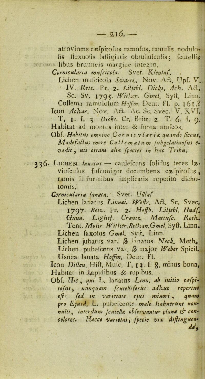 atrovirens caefpitofus ramofus, ramulis nodulo- fis flcxuofis taftigi itis obrufiufculis3 fcutellis libus brunneis margine integro, Corniculana mufcicola. Svef. Klenlaf. Lichen mufcicola Swartz,. Nov Aci. Upf. V, IV. Retz. Pr. 2» Liljebl, Dickt. Ach. Aci, Sc. Sv. 1795’. Wither, Gmel. Syft, Linn. Collema ramulofum Hoffm. Dent. FI. p. \6lA Icon Achar. Nov, Act. Ac. Sc. Svec. V, XVL T, 1. L 3 Dtcks. Cr. Britt, 2 T. 6. i. 9. Habitat ad montes inter & (iinra mufcos, Obf, Habitus omnino Cornicula r ia quando (iccus, Madefaftus more Coli e matum fub^elatino/us e» vadit 5 /*// r//4w aha /pectes m hac Tribu. 336. Lichen lanatus — caulefcons folidus teres lae« viufculus fu (coniger decumbens eaefpitoliis , ramis filiformibus implicatis repetito dicho- tomi s, Corniculana lanata. Svet. Ul/Jaf Lichen lanatus Linn&i, fVeflr, A&. Sc. Svrec. I797 pr. 2. H*##. Liljebl. Hudf4 Gunn. Lightf. CrantzMattu/c. Roth. Tent. Mohr IVither.Reihan,Gmel, Syft. Linn. Lichen faxoius Syft, Linn. Lichen jubatus var. (3 Lnatus Neck, Meth* Lichen pubefeens va>. /3 major Weber Spicii. Usnea lanata Hoffm, Deut. FI. Icon Di lien. Hift. Mufc. T. 13. f. 8. minus bona. Habitat in Lapidibus & rup bus. Obf. Hic, qui L. lanatus Linn, ab initio cafpi• tofus, nunquam fcutelh ferus adhuc repertus e(l; /« varietate ejus minori , quam pro Ejusd, L. pubelcente habuerunt non* nulli, interdum Jcntellt obfervantur plana Cr con- colores. Hac ce varietas, t7.v difttnguen-