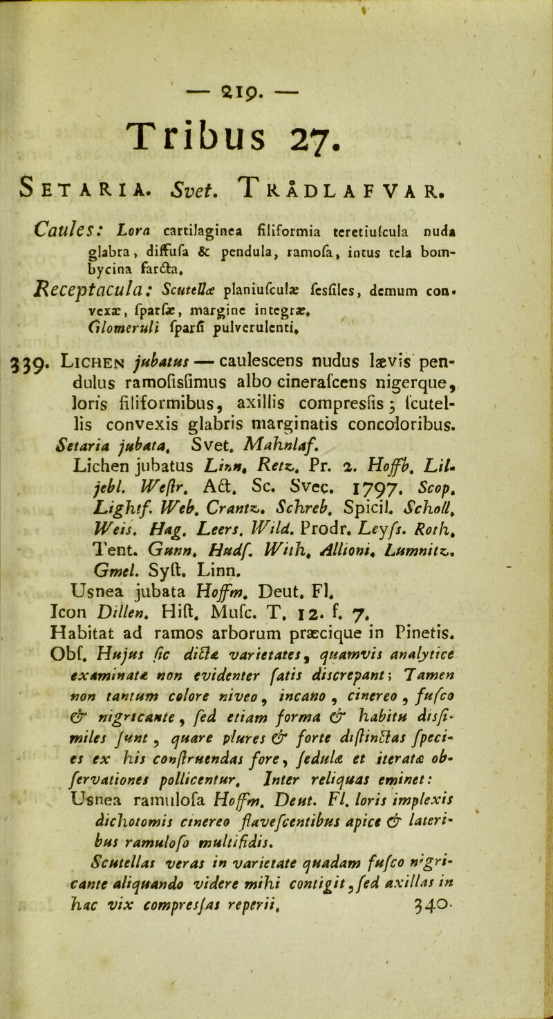 Tribus 27. S E T A R I A. Svet. TraDLAFVAR. Caules: Lora cartilaginea filiformia teretiulcula nuda glabra, diffufa & pendula, ramofa, intus tela bom- bycina farda. Receptacula: Scutella planiufculx fesfilcs, demum con. vexa:, fparfie, margine integrae. Glomeruli fparfi pulverulenti, 339. Lichen jubatus— caulescens nudus laevis pen- dulus ramofisfimus albo cinerafcens nigerque, loris filiformibus, axillis compreslis ; Icutel- lis convexis glabris marginatis concoloribus. S et ari a jubata, Svet, Mahnlaf, Lichen jubatus Linn4 Retz,, Pr. 2. Hoffb, L/7- jebl. Weftr, Ad, Sc. Svec. 1797» Scop, Lightf. IVeb, Crantz>» Schreb, Spicii, Scholl, IVeis. Hag, Leers. Wild. Prodr, Leyfs. Roth, Tent. Gunn. Hudf. IVith, Alliam, Lttmnitz.. Gwe/. Syft. Linn. Usnea jubata Hoffm, Deut, FI, Icon Dillen, Hift, Mufc. T, 12. f. 7. Habitat ad ramos arborum prascique in Pinetis. Obf, Hujus fic ditia varietates, quamvis analytice examinata non evidenter fatis discrepanti Tamen non tantum colore niveo, incano , cinereo , fufeo & nigricante, forma & habitu disfi* miles Junt 5 plures & forte diflintlas fpeci- rr rx1 his conftruendas fore, feduU et iterata ob• fervationes pollicentur, reliquas eminet: Usnea ramulofa Hoffm, F/. implexis dichotomis cinereo flavefeentibus apice & lateri- ramulofa multifidis. Scutellas veras in varietate quadam fufeo nfgri- aliquando videre mihi contigit ,{ed axillas in hac vix compresjas re per ii, 340-