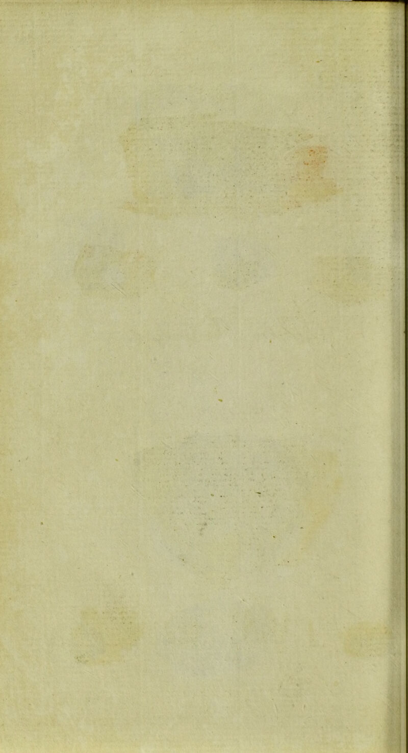 l \ :'4’ ' -*i * . - •a • •r 4