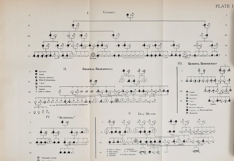 PLATE I Cataract. 'f ^ i i i' i—i i i TTTL ' 1 1-1 I rv 1 1 r~m r ,4af 3f?4f?si«6 79^ 11. 0/a0/3 0|4? /5^^/5^/7O/8O/9O20^2/^aaO23O54O35O26O27Oag®2 Several. General Degeneracy I I I I I I I ' /v\ ' I'll t-t* 3a033034W36#3i^ 3yl^l © 42^4 3O44O45O 4 III. General Degeneracy 9 Epileptic. © Insane. Mentally defective. Died of Alcoholism. Q “ Fits.” Osteo-arthrites. Tfc Cataract + Died in infancy. 1.2) 29 4S 32> .2> 7^ sS 2S/»Sh£)/2^/3^I4CE) asScwQ 2s(5 IV. 1-12. all undersized and of poor intelligence. I 1 1 1 9 9 5 S+ IV. “Blindness.” V. Deaf Mutism. I 1 A.© 1 1 1 r . i£ 2^ j<j 4*9 8 1—1 1—r—1 “>• © Insane. ® Tubercular. © Epileptic. J IV. C Idiot. (• 2^3 3 Hysteria. Squint. © Mentally defective. • Cataract and Hydrocephalus. Eccentric. 'j^f 10 2# 30^^) 50 50 7^ 8© 40 10C (3) ® 10O 110 yaO 1 rn 1 ,#a#3#40 ^ Presumably normal. + Died in infancy. H* Imbecile. 4 Died young -X- a “ Natural. g—® 30 4O J@ «0 ’■Stm-bom. *Gonelolhebad. \ V+ T V X Alcoholic. 1H iA>
