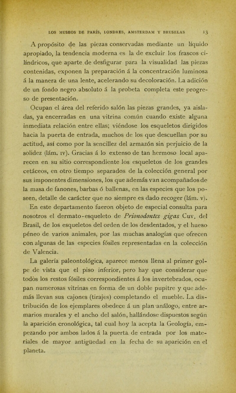 A propósito de las piezas conservadas mediante un líquido apropiado, la tendencia moderna es la de excluir los frascos ci- lindricos, que aparte de desfigurar para la visualidad las piezas contenidas, exponen la preparación á la concentración luminosa á la manera de una lente, acelerando su decoloración. La adición de un fondo negro absoluto á la probeta completa este progre- so de presentación. Ocupan el área del referido salón las piezas grandes, ya aisla- das, ya encerradas en una vitrina común cuando existe alguna inmediata relación entre ellas; viéndose los esqueletos dirigidos hacia la puerta de entrada, muchos de los que descuellan por su actitud, así como por la sencillez del armazón sin perjuicio de la solidez (lám. iv). Gracias á lo extenso de tan hermoso local apa- recen en su sitio correspondiente los esqueletos de los grandes cetáceos, en otro tiempo separados de la colección general por sus imponentes dimensiones, los que además van acompañados de la masa de fanones, barbas ó ballenas, en las especies que los po- seen, detalle de carácter que no siempre es dado recoger (lám. v). En este departamento fueron objeto de especial consulta para nosotros el dermato-esqueleto de Prionodontes gigcts Cuv. del Brasil, de los esqueletos del orden de los desdentados, y el hueso péneo de varios animales, por las muchas analogías que ofrecen con algunas de las especies fósiles representadas en la colección de Valencia. La galería paleontológica, aparece menos llena al primer gol- pe de vista que el piso inferior, pero hay que considerar que todos los restos fósiles correspondientes á los invertebrados, ocu- pan numerosas vitrinas en forma de un doble pupitre y que ade- más llevan sus cajones (tirajes) completando el mueble. La dis- tribución de los ejemplares obedece á un plan análogo, entre ar- marios murales y el ancho del salón, hallándose dispuestos según la aparición cronológica, tal cual hoy la acepta la Geología, em- pezando por ambos lados á la puerta de entrada por los mate- riales de mayor antigüedad en la fecha de su aparición en el planeta.