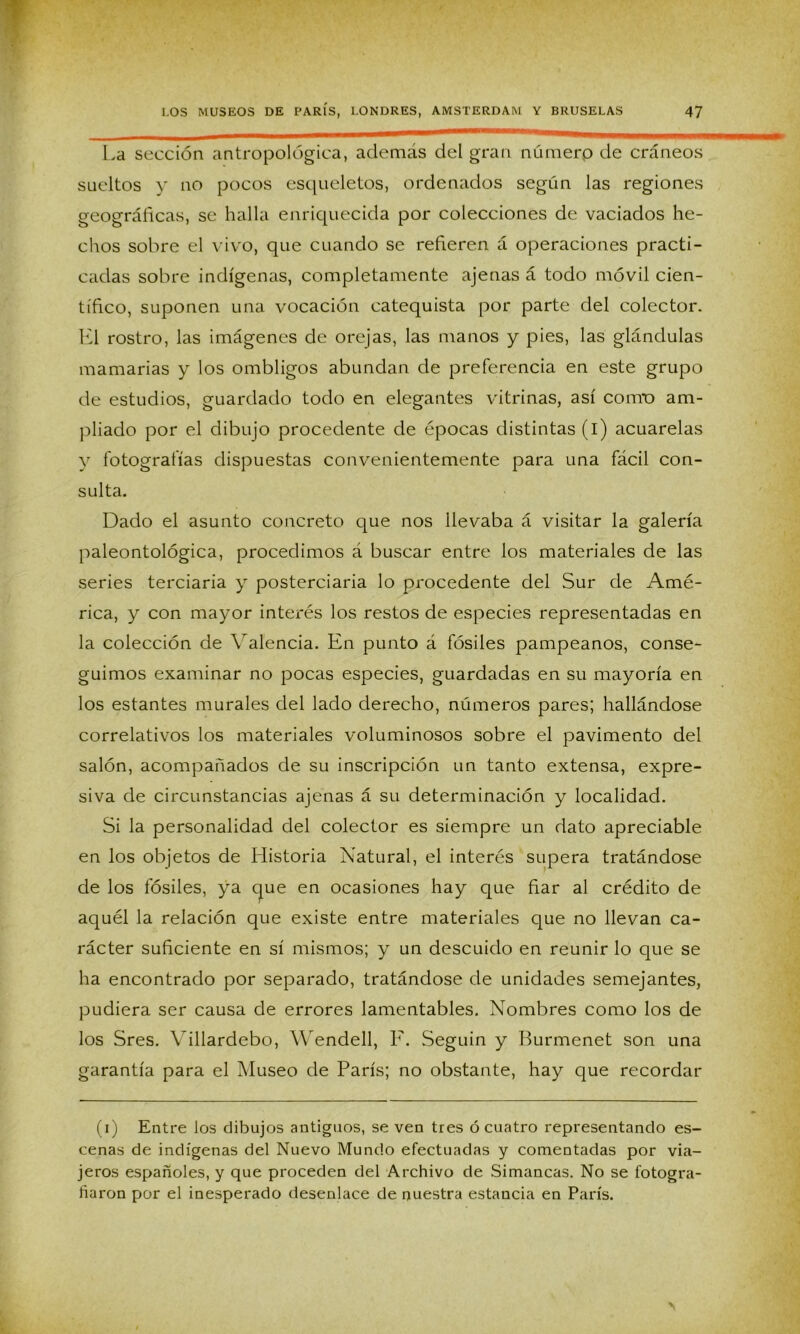 La sección antropológica, además del gran númerp de cráneos sueltos y no pocos esqueletos, ordenados según las regiones geográficas, se halla enriquecida por colecciones de vaciados he- chos sobre el vivo, que cuando se refieren á operaciones practi- cadas sobre indígenas, completamente ajenas á todo móvil cien- tífico, suponen una vocación catequista por parte del colector. El rostro, las imágenes de orejas, las manos y pies, las glándulas mamarias y los ombligos abundan de preferencia en este grupo de estudios, guardado todo en elegantes vitrinas, así coito am- pliado por el dibujo procedente de épocas distintas (i) acuarelas y fotografías dispuestas convenientemente para una fácil con- sulta. Dado el asunto concreto que nos llevaba á visitar la galería paleontológica, procedimos á buscar entre los materiales de las series terciaria y posterciaria lo procedente del Sur de Amé- rica, y con mayor interés los restos de especies representadas en la colección de Valencia. En punto á fósiles pampeanos, conse- guimos examinar no pocas especies, guardadas en su mayoría en los estantes murales del lado derecho, números pares; hallándose correlativos los materiales voluminosos sobre el pavimento del salón, acompañados de su inscripción un tanto extensa, expre- siva de circunstancias ajenas á su determinación y localidad. Si la personalidad del colector es siempre un dato apreciable en los objetos de Elistoria Natural, el interés supera tratándose de los fósiles, ya cjue en ocasiones hay que fiar al crédito de aquél la relación que existe entre materiales que no llevan ca- rácter suficiente en sí mismos; y un descuido en reunir lo que se ha encontrado por separado, tratándose de unidades semejantes, pudiera ser causa de errores lamentables. Nombres como los de los Sres. Yillardebo, Wendell, F. Seguin y Burmenet son una garantía para el Museo de París; no obstante, hay que recordar (i) Entre los dibujos antiguos, se ven tres ó cuatro representando es- cenas de indígenas del Nuevo Mundo efectuadas y comentadas por via- jeros españoles, y que proceden del Archivo de Simancas. No se fotogra- fiaron por el inesperado desenlace de nuestra estancia en París.