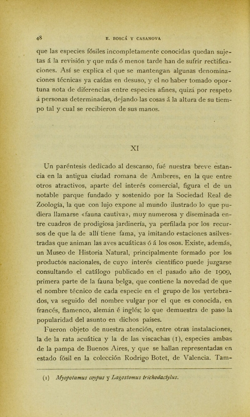 que las especies fósiles incompletamente conocidas quedan suje- tas á la revisión y que más ó menos tarde han de sufrir rectifica- ciones. Así se explica el que se mantengan algunas denomina- ciones técnicas ya caídas en desuso, y el no haber tomado opor- tuna nota de diferencias entre especies afines, quizá por respeto á personas determinadas, dejando las cosas á la altura de su tiem- po tal y cual se recibieron de sus manos. XI Un paréntesis dedicado al descanso, fué nuestra breve estan- cia en la antigua ciudad romana de Amberes, en la que entre otros atractivos, aparte del interés comercial, figura el de un notable parque fundado y sostenido por la Sociedad Real de Zoología, la que con lujo expone al mundo ilustrado lo que pu- diera llamarse «fauna cautiva», muy numerosa y diseminada en- tre cuadros de prodigiosa jardinería, ya perfilada por los recur- sos de que la de allí tiene fama, ya imitando estaciones asilves- tradas que animan las aves acuáticas ó á los osos. Existe, además, un Museo de Historia Natural, principalmente formado por los productos nacionales, de cüyo interés científico puede juzgarse consultando el catálogo publicado en el pasado año de 1909, primera parte de la fauna belga, que contiene la novedad de que el nombre técnico de cada especie en el grupo de los vertebra- dos, va seguido del nombre vulgar por el que es conocida, en francés, flamenco, alemán é inglés; lo que demuestra de paso la popularidad del asunto en dichos países. Fueron objeto de nuestra atención, entre otras instalaciones, la de la rata acuática y la de las viscachas (i), especies ambas de la pampa de Buenos Aires, y que se hallan representadas en estado fósil en la colección Rodrigo Botet, de Valencia. Tam- (1) Myopotamus coypus y Lagostomus irichodaciylus.