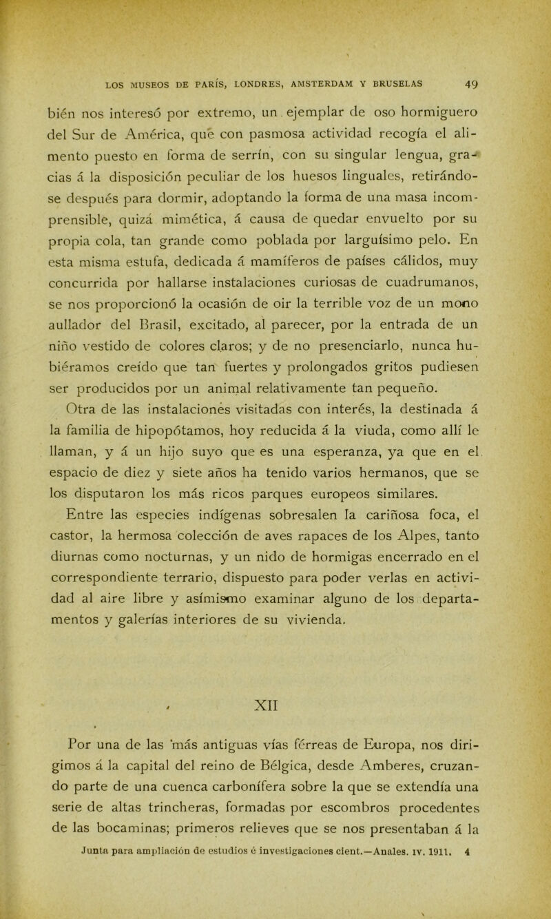 bién nos interesó por extremo, un . ejemplar de oso hormiguero del Sur de América, qué con pasmosa actividad recogía el ali- mento puesto en forma de serrín, con su singular lengua, gra- cias á la disposición peculiar de los huesos linguales, retirándo- se después para dormir, adoptando la forma de una masa incom- prensible, quizá mimética, á causa de quedar envuelto por su propia cola, tan grande como poblada por larguísimo pelo. En esta misma estufa, dedicada á mamíferos de países cálidos, muy concurrida por hallarse instalaciones curiosas de cuadrumanos, se nos proporcionó la ocasión de oir la terrible voz de un mono aullador del Brasil, excitado, al parecer, por la entrada de un niño vestido de colores claros; y de no presenciarlo, nunca hu- biéramos creído que tan fuertes y prolongados gritos pudiesen ser producidos por un animal relativamente tan pequeño. Otra de las instalaciones visitadas con interés, la destinada á la familia de hipopótamos, hoy reducida á la viuda, como allí le llaman, y á un hijo suyo que es una esperanza, ya que en el espacio de diez y siete años ha tenido varios hermanos, que se los disputaron los más ricos parques europeos similares. Entre las especies indígenas sobresalen la cariñosa foca, el castor, la hermosa colección de aves rapaces de los Alpes, tanto diurnas como nocturnas, y un nido de hormigas encerrado en el correspondiente terrario, dispuesto para poder verlas en activi- dad al aire libre y asimismo examinar alguno de los departa- mentos y galerías interiores de su vivienda. XII • Por una de las 'más antiguas vías férreas de Europa, nos diri- gimos á la capital del reino de Bélgica, desde Amberes, cruzan- do parte de una cuenca carbonífera sobre la que se extendía una serie de altas trincheras, formadas por escombros procedentes de las bocaminas; primeros relieves que se nos presentaban á la Junta para ampliación de estudios é investigaciones cient.—Anales, iv. 1911. 4