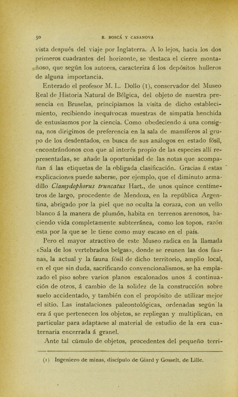 vista después del viaje por Inglaterra. A lo lejos, hacia los dos primeros cuadrantes del horizonte, se destaca el cierre monta- ñoso, que según los autores, caracteriza á los depósitos hulleros de alguna importancia. Enterado el profesor M. L. Dollo (i), conservador del Museo Real de Historia Natural de Bélgica, del objeto de nuestra pre- sencia en Bruselas, principiamos la visita de dicho estableci- miento, recibiendo inequívocas muestras de simpatía henchida de entusiasmos por la ciencia. Como obedeciendo á una consig- na, nos dirigimos de preferencia en la sala de mamíferos al gru- po de los desdentados, en busca de sus análogos en estado fósil, encontrándonos con que al interés propio de las especies allí re- presentadas, se añade la oportunidad de las notas que acompa- ñan á las etiquetas de la obligada clasificación. Gracias á estas explicaciones puede saberse, por ejemplo, que el diminuto arma- dillo Clamydophorus truncatus Hart., de unos quince centíme- tros de largo, procedente de Mendoza, en la república Argen- tina, abrigado por la piel que no oculta la coraza, con un vello blanco á la manera de plumón, habita en terrenos arenosos, ha- ciendo vida completamente subterránea, como los topos, razón esta por la que se le tiene como muy escaso en el país. Pero el mayor atractivo de este Museo radica en la llamada «Sala de los vertebrados belgas», donde se reúnen las dos fau- nas, la actual y la fauna fósil de dicho territorio, amplio local, en el que sin duda, sacrificando convencionalismos, se ha empla- zado el piso sobre varios planos escalonados unos á continua- ción de otros, á cambio de la solidez de la construcción sobre suelo accidentado, y también con el propósito de utilizar mejor el sitio. Las instalaciones paleontológicas, ordenadas según la era á que pertenecen los objetos, se repliegan y multiplican, en particular para adaptarse al material de estudio de la era cua- ternaria encerrada á granel. Ante tal cúmulo de objetos, procedentes del pequeño terri- (i) Ingeniero de minas, discípulo de Giard y Gosselt, de Lille.