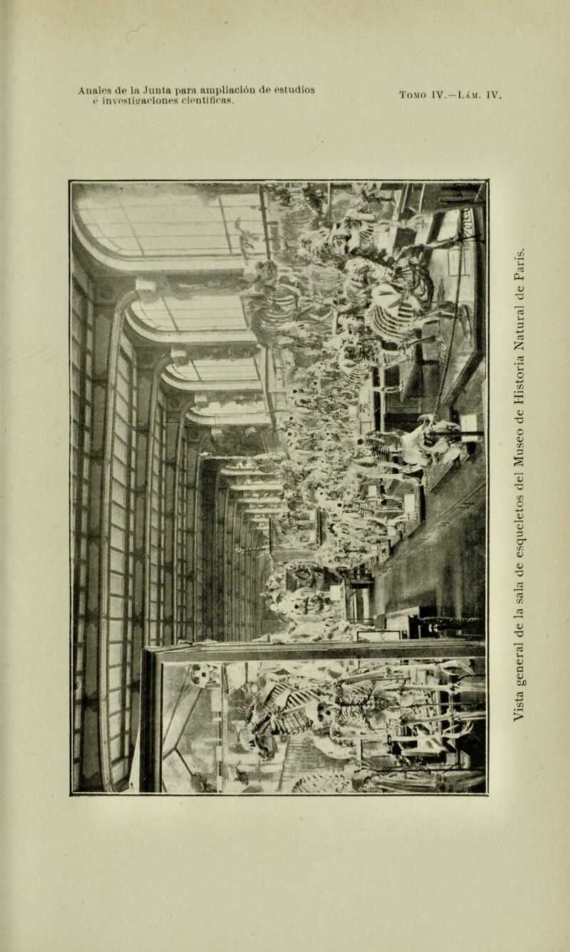 «• investigaciones científicas. Tomo IV.-LAm. IV.