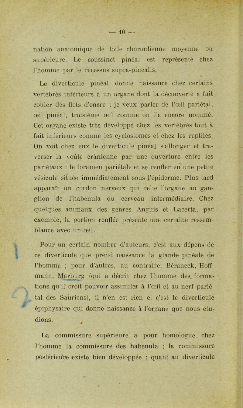 ' *> N nation anatomique de toile choroïdienne moyenne ou supérieure. Le coussinet pinéal est représenté chez l’homme par le recessus supra-pinealis. Le diverticule pinéal donne naissance chez certains vertébrés inférieurs à un organe dont la découverte a fait couler des flots d’encre : je veux parler de l’œil pariétal, œil pinéal, troisième œil comme on l’a encore nommé. Cet organe existe très développé chez les vertébrés tout à fait inférieurs comme les cyclostomes et chez les reptiles. On voit chez eux le diverticule pinéal s’allonger et tra- verser la voûte crânienne par une ouverture entre les pariétaux : le foramen pariétale et se renfler en une petite vésicule située immédiatement sous l’épiderme. Plus tard apparaît un cordon nerveux qui relie l’organe au gan- glion de l’habenula du cerveau intermédiaire. Chez quelques animaux des genres Anguis et Lacerta, par exemple, la portion renflée présente une certaine ressem- blance avec un œil. Pour un certain nombre d’auteurs, c’est aux dépens de ce diverticule que prend naissance la glande pinéale de l’homme ; pour d’autres, au contraire, Béraneck, Hoff- mann, Marburg (qui a décrit chez l’homme des forma- tions qu’il croit pouvoir assimiler à l’œil et au nerf parié- tal des Sauriens), il n’en est rien et c’est le diverticule épiphysaire qui donne naissance à l’organe que nous étu- dions. « La commissure supérieure a pour homologue chez l’homme la commissure des habenula ; la commissure postérieure existe bien développée ; quant au diverticule