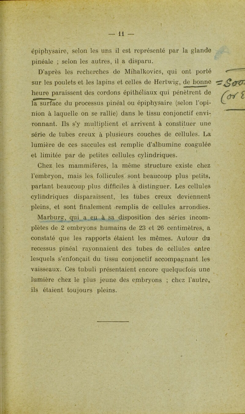 épiphysaire, selon les uns il est représenté par la glande pinéale ; selon les autres, il a disparu. D’après les recherches de Mihalkovics, qui ont porté sur les poulets et les lapins et celles de Hertwig, de bonne heure paraissent des cordons épithéliaux qui pénètrent de la surface du processus pinéal ou épiphysaire (selon l’opi- nion à laquelle on se rallie) dans le tissu conjonctif envi- ronnant. Ils s’y multiplient et arrivent à constituer une série de tubes creux à plusieurs couches de cellules. La lumière de ces saccules est remplie d’albumine coagulée i et limitée par de petites cellules cylindriques. Chez les mammifères, la même structure existe chez l’embryon, mais les follicules sont beaucoup plus petits, partant beaucoup plus difficiles à distinguer. Les cellules cylindriques disparaissent, les tubes creux deviennent pleins, et sont finalement /remplis de cellules arrondies. Marburg, qui a eu à sa disposition des séries incom- plètes de 2 embryons humains de 23 et 26 centimètres, a constaté que les rapports étaient les mêmes. Autour du recessus pinéal rayonnaient des tubes de cellules entre lesquels s’enfonçait du tissu conjonctif accompagnant les vaisseaux. Ces tubuli présentaient encore quelquefois une lumière chez le plus jeune des embryons ; chez l’autre, ils étaient toujours pleins. ■^Sartr* \