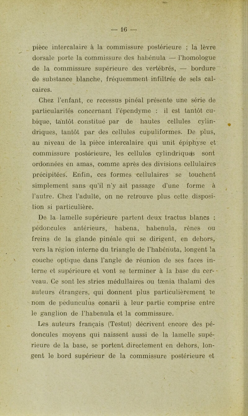 pièce intercalaire à la commissure postérieure ; la lèvre dorsale porte la commissure des habénula — l’homologue de la commissure supérieure des vertébrés, — bordure de substance blanche, fréquemment infiltrée de sels cal- caires. Chez l’enfant, ce recessus pinéal présente une série de particularités concernant l’épendyme : il est tantôt cu- bique, tantôt constitué par de hautes cellules cylin- driques, tantôt par des cellules cupuliformes. De plus, au niveau de la pièce intercalaire qui unit épiphyse et commissure postérieure, les cellules cylind!rique(s sont ordonnées en amas, comme après des divisions cellulaires précipitées. Enfin, ces formes cellulaires se touchent simplement sans qu’il n’y ait passage d’une forme à l’autre. Chez l’adulte, on ne retrouve plus cette disposi- tion si particulière. De la lamelle supérieure partent deux tractus blancs : pédoncules antérieurs, habena, habénula, rênes ou freins de la glande pinéale qui se dirigent, en dehors, vers la région interne du triangle de l’habénuta, longent la couche optique dans l’angle de réunion de ses faces in- terne et supérieure et vont se terminer à la base du cer- veau. Ce sont les stries médullaires ou tænia thalami des auteurs étrangers, qui donnent plus particulièrement le nom de pedunculus conarii à leur partie comprise entre le ganglion de l’habenula et la commissure. Les auteurs français (Testut) décrivent encore des pé- doncules moyens qui naissent aussi de la lamelle supé- rieure de la base, se portent directement en dehors, lon- gent le bord supérieur de la commissure postérieure et