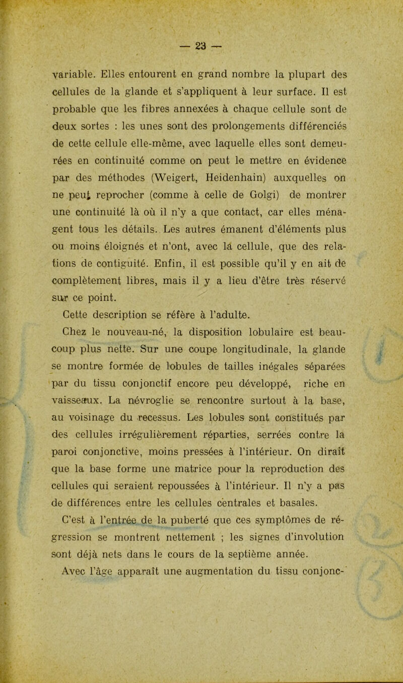 variable. Elles entourent en grand nombre la plupart des cellules de la glande et s’appliquent à leur surface. Il est probable que les fibres annexées à chaque cellule sont de deux sortes : les unes sont des prolongements différenciés de cette cellule elle-même, avec laquelle elles sont demeu- rées en continuité comme on peut le mettre en évidence par des méthodes (Weigert, Heidenhain) auxquelles on ne peut reprocher (comme à celle de Golgi) de montrer une continuité là où il n’y a que contact, car elles ména- gent tous les détails. Les autres émanent d’éléments plus ou moins éloignés et n’ont, avec la cellule, que des rela- tions de contiguité. Enfin, il est possible qu’il y en ait de complètement libres, mais il y a lieu d’être très réservé sur ce point. Cette description se réfère à l’adulte. Chez le nouveau-né, la disposition lobulaire est beau- coup plus nette. Sur une coupe longitudinale, la glande se montre formée de lobules de tailles inégales séparées par du tissu conjonctif encore peu développé, riche en vaisseaux. La névroglie se rencontre surtout à la base, au voisinage du recessus. Les lobules sont constitués par des cellules irrégulièrement réparties, serrées contre la paroi conjonctive, moins pressées à l’intérieur. On dirait que la base forme une matrice pour la reproduction des cellules qui seraient repoussées à l’intérieur. Il n’y a pas de différences entre les cellules centrales et basales. C’est à l’entrée de la puberté que ces symptômes de ré- gression se montrent nettement ; les signes d’involution sont déjà nets dans le cours de la septième année. Avec l’âge apparaît une augmentation du tissu conjonc-