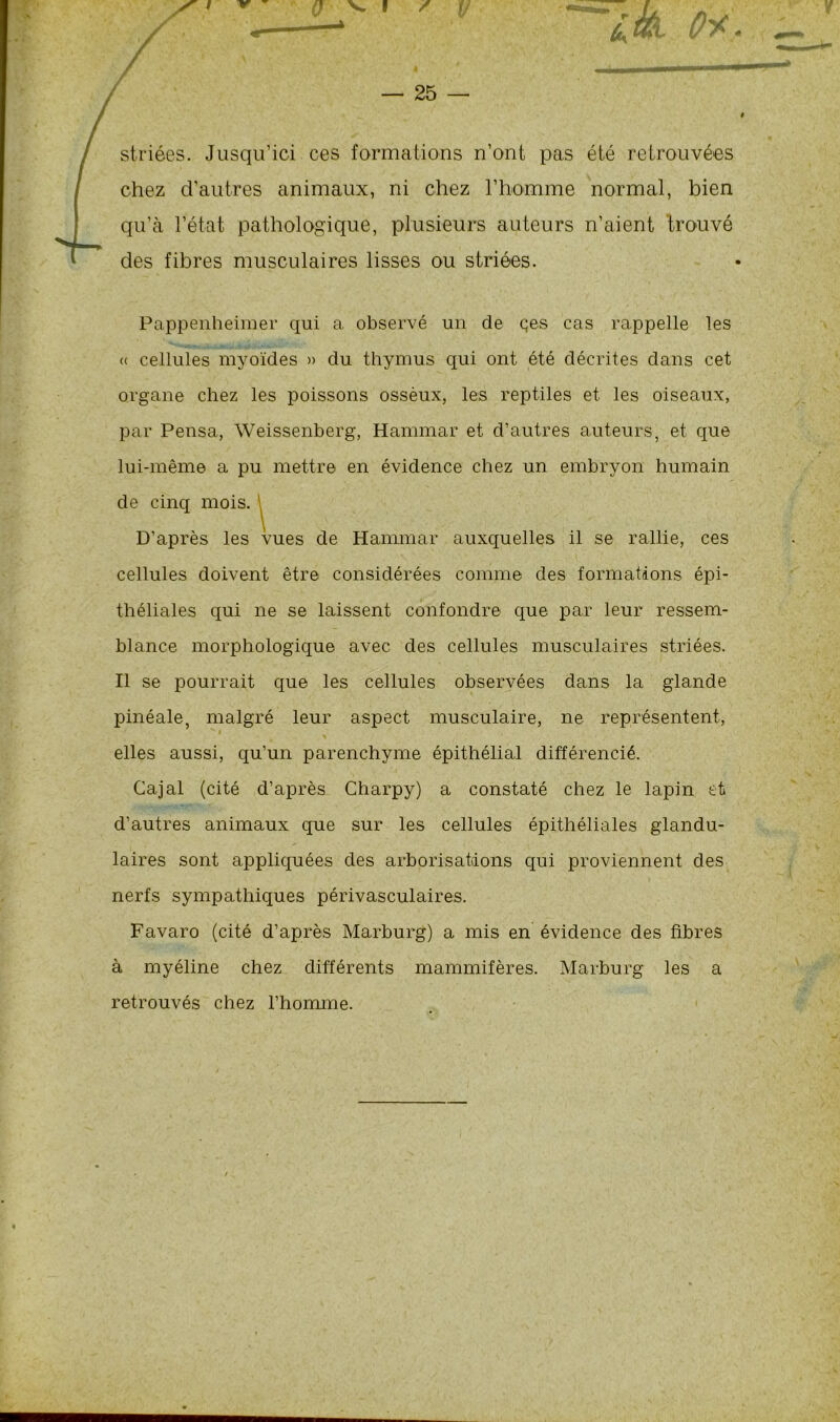 striées. Jusqu’ici ces formations n’ont pas été retrouvées chez d’autres animaux, ni chez l’homme normal, bien qu’à l’état pathologique, plusieurs auteurs n’aient trouvé des fibres musculaires lisses ou striées. Pappenheimer qui a observé un de qes cas rappelle les « cellules myoïdes » du thymus qui ont été décrites dans cet organe chez les poissons ossèux, les reptiles et les oiseaux, par Pensa, Weissenberg, Hannnar et d’autres auteurs, et que lui-même a pu mettre en évidence chez un embryon humain de cinq mois. ^ D’après les vues de Hannnar auxquelles il se rallie, ces cellules doivent être considérées comme des formations épi- théliales qui ne se laissent confondre que par leur ressem- blance morphologique avec des cellules musculaires striées. Il se pourrait que les cellules observées dans la glande pinéale, malgré leur aspect musculaire, ne représentent, elles aussi, qu’un parenchyme épithélial différencié. Cajal (cité d’après Charpy) a constaté chez le lapin et d’autres animaux que sur les cellules épithéliales glandu- laires sont appliquées des arborisations qui proviennent des nerfs sympathiques périvasculaires. Favaro (cité d’après Marburg) a mis en évidence des fibres à myéline chez différents mammifères. Marburg les a retrouvés chez l'homme.