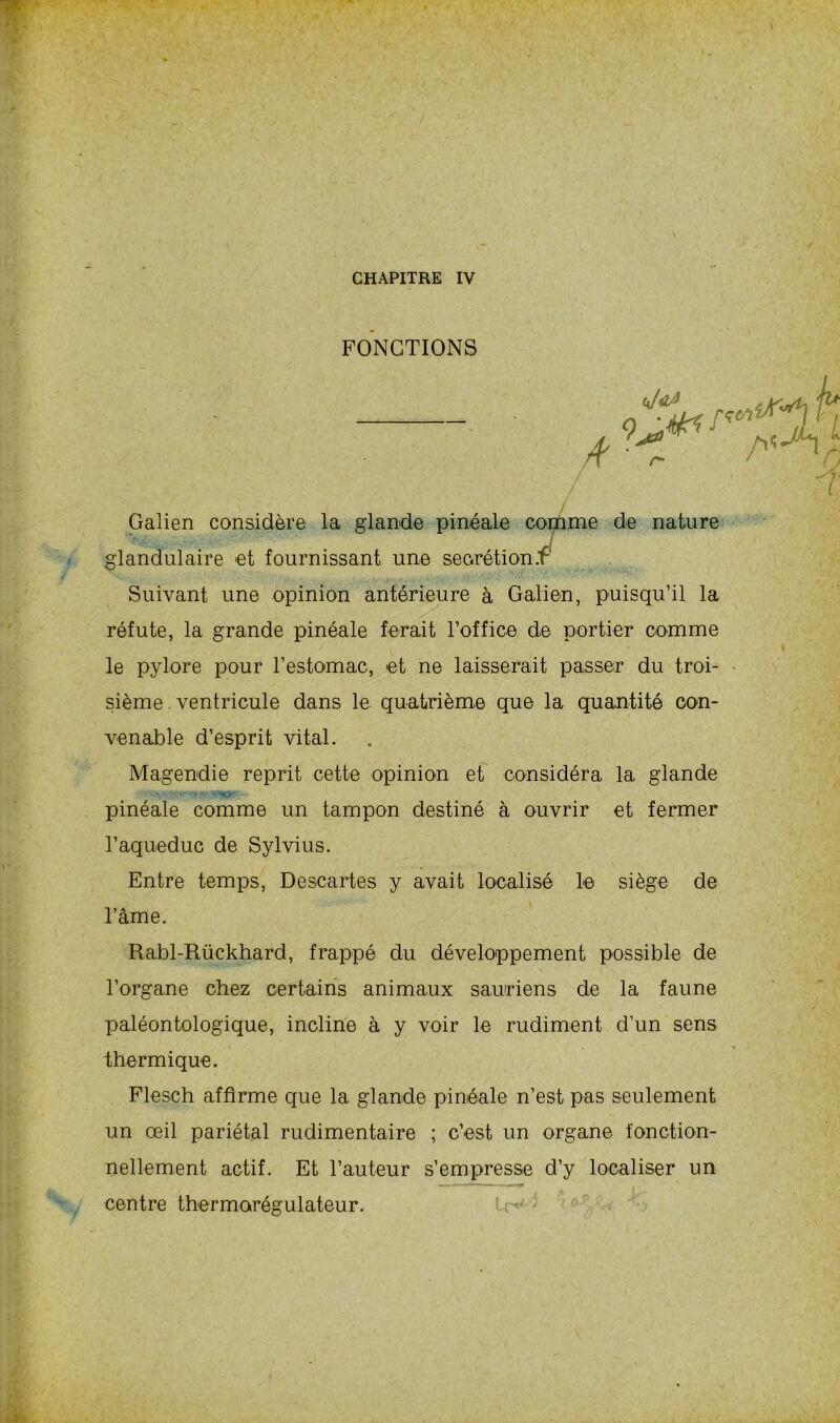 CHAPITRE IV FONCTIONS Galien considère la glande pinéale comme de nature glandulaire et fournissant une secrétion.f Suivant une opinion antérieure à Galien, puisqu’il la réfute, la grande pinéale ferait l’office de portier comme le pylore pour l’estomac, et ne laisserait passer du troi- sième . ventricule dans le quatrième que la quantité con- venable d’esprit vital. Magendie reprit cette opinion et considéra la glande • - ;*v> pinéale comme un tampon destiné à ouvrir et fermer l’aqueduc de Sylvius. Entre temps, Descartes y avait localisé le siège de l’âme. Rabl-Rückhard, frappé du développement possible de rorgane chez certains animaux sauriens de la faune paléontologique, incline à y voir le rudiment d’un sens thermique. Flesch affirme que la glande pinéale n’est pas seulement un œil pariétal rudimentaire ; c’est un organe fonction- nellement actif. Et l’auteur s’empresse d’y localiser un centre thermorégulateur.