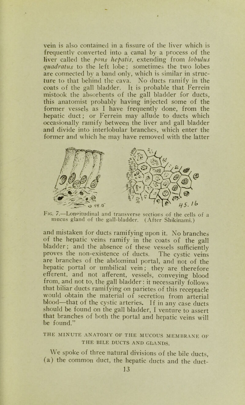 vein is also contained in a fissure of the liver which is frequently converted into a canal by a process of the liver called the pons hepatis, extending from lobulus quadrat us to the left lobe; sometimes the two lobes are connected by a band only, which is similar in struc- ture to that behind the cava. No ducts ramify in the coats of the gall bladder. It is probable that Ferrein mistook the absorbents of the gall bladder for ducts, this anatomist probably having injected some of the former vessels as I have frequently done, from the hepatic duct; or Ferrein may allude to ducts which occasionally ramify between the liver and gall bladder and divide into interlobular branches, which enter the former and which he may have removed with the latter Fig. 7.—Longitudinal and transverse sections of the cells of a mucus gland of the gall-bladder. (After Shikinami.) and mistaken for ducts ramifying upon it. No branches of the hepatic veins ramify in the coats of the gall bladder; and the absence of these vessels sufficiently proves the non-existence of ducts. The cystic veins are branches of the abdominal portal, and not of the hepatic portal or umbilical vein; they are therefore efferent, and not afferent, vessels, conveying blood from, and not to, the gall bladder: it necessarily follows that biliar ducts ramifying on parietes of this receptacle would obtain the material of secretion from arterial blood—that of the cystic arteries. If in any case ducts should be found on the gall bladder, I venture to assert that branches of both the portal and hepatic veins will be found.” THE MINUTE ANATOMY OF THE MUCOUS MEMBRANE OF THE BILE DUCTS AND C-DANDS. We spoke of three natural divisions of the bile ducts, (a) the common duct, the hepatic ducts and the duct-
