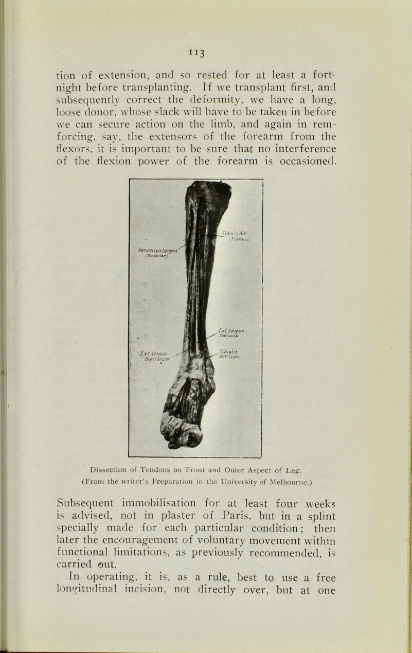 tion of extension, and so rested for at least a fort- night before transplanting. If we transplant first, and subsequently correct the deformity, we have a long, loose donor, whose slack will have to be taken in before we can secure action on the limb, and again in rein- forcing, say, the extensors of the forearm from the flexors, it is important to be sure that no interference of the flexion power of the forearm is occasioned. Dissection of Tendons on Front and Outer Aspect of Leg. (From the writer’s Preparation in the University of Melbourne.) Subsequent immobilisation for at least four weeks is advised, not in plaster of Paris, but in a splint specially made for each particular condition; then later the encouragement of voluntary movement within functional limitations, as previously recommended, is carried out. In operating, it is, as a rule, best to use a free longitudinal incision, not directly over, but at one