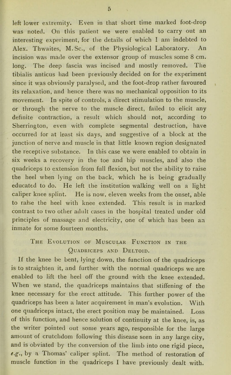 left lower extremity. Even in that short time marked foot-drop was noted. On this patient we were enabled to carry out an interesting experiment, for the details of which I am indebted to Alex. Thwaites, M.Sc., of the Physiological Laboratory. An incision was made over the extensor group of muscles some 8 cm. long. The deep fascia was incised and mostly removed. The tibialis anticus had been previously decided on for the experiment since it was obviously paralysed, and the foot-drop rather favoured its relaxation, and hence there was no mechanical opposition to its movement. In spite of controls, a direct stimulation to the muscle, or through the nerve to the muscle direct, failed to elicit any definite contraction, a result which should not, according to Sherrington, even with complete segmental destruction, have occurred for at least six days, and suggestive of a block at the junction of nerve and muscle in that little known region designated the receptive substance. In this case we were enabled to obtain in six weeks a recovery in the toe and hip muscles, and also the quadriceps to extension from full flexion, but not the ability to raise the heel when lying on the back, which he is being gradually educated to do. He left the institution walking well on a light caliper knee splint. He is now, eleven weeks from the onset, able to raise the heel with knee extended. This result is in marked contrast to two other adult cases in the hospital treated under old principles of massage and electricity, one of which has been an inmate for some fourteen months. The Evolution of Muscular Function in the Quadriceps and Deltoid. If the knee be bent, lying down, the function of the quadriceps is to straighten it, and further with the normal quadriceps we are enabled to lift the heel off the ground with the knee extended. When we stand, the quadriceps maintains that stiffening of the knee necessary for the erect attitude. This further power of the quadriceps has been a later acquirement in man’s evolution. With one quadriceps intact, the erect position may be maintained. Loss of this function, and hence solution of continuity at the knee, is, as the writer pointed out some years ago, responsible for the large amount of crutchdom following this disease seen in any large city, and is obviated by the conversion of the limb into one rigid piece, e.g., by a Thomas’ caliper splint. The method of restoration of muscle function in the quadriceps I have previously dealt with.