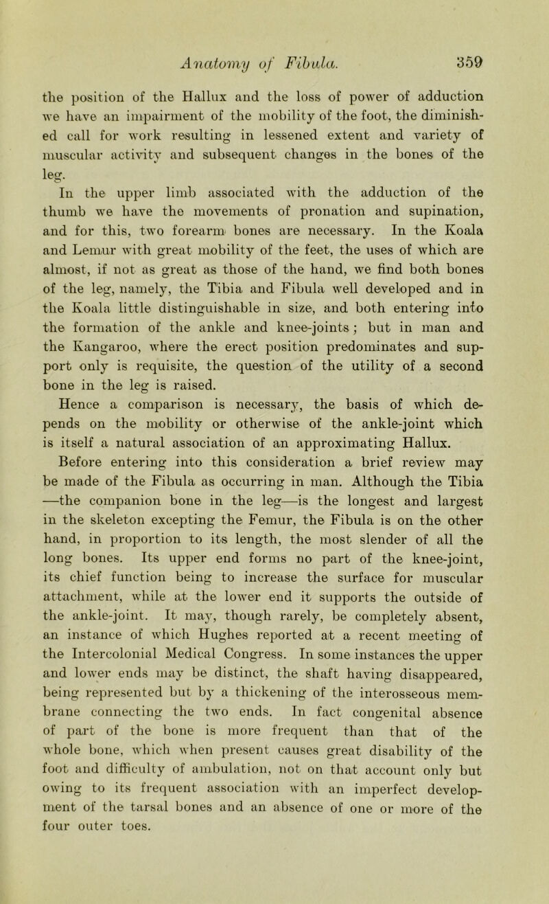 the position of the Hallux and the loss of power of adduction we have an impairment of the mobility of the foot, the diminish- ed call for work resulting in lessened extent and variety of muscular activity and subsequent changes in the bones of the leer. In the upper limb associated with the adduction of the thumb we have the movements of pronation and supination, and for this, two forearm bones are necessary. In the Koala and Lemur with great mobility of the feet, the uses of which are almost, if not as great as those of the hand, we find both bones of the leg, namely, the Tibia, and Fibula well developed and in the Koala little distinguishable in size, and both entering into the formation of the ankle and knee-joints ; but in man and the Kangaroo, where the erect- position predominates and sup- port only is requisite, the question of the utility of a second bone in the leg is raised. Hence a comparison is necessary, the basis of which de- pends on the mobility or otherwise of the ankle-joint which is itself a natural association of an approximating Hallux. Before entering into this consideration a brief review may be made of the Fibula as occurring in man. Although the Tibia —the companion bone in the leg—is the longest and largest in the skeleton excepting the Femur, the Fibula is on the other hand, in proportion to its length, the most slender of all the long bones. Its upper end forms no part of the knee-joint, its chief function being to increase the surface for muscular attachment, while at the lower end it supports the outside of the ankle-joint. It may, though rarely, be completely absent, an instance of which Hughes reported at a recent meeting of the Intercolonial Medical Congress. In some instances the upper and lower ends may be distinct, the shaft having disappeared, being represented but by a thickening of the interosseous mem- brane connecting the two ends. In fact congenital absence of part of the bone is more frequent than that of the whole bone, which when present causes great disability of the foot and difficulty of ambulation, not on that account only but owing to its frequent association with an imperfect develop- ment of the tarsal bones and an absence of one or more of the four outer toes.