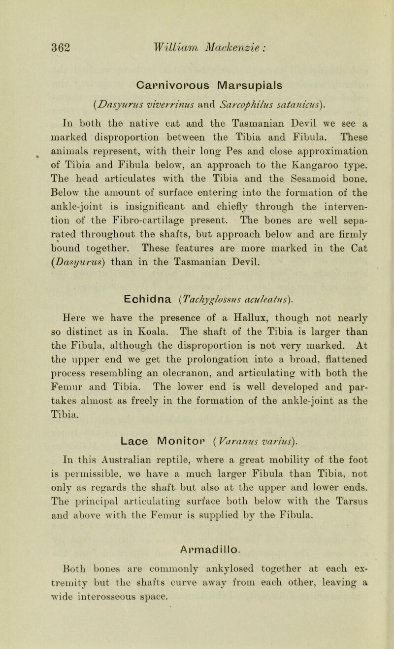 Carnivorous Marsupials (.Dnsyurus viverrinus and Sarcophilus scitanicus). In both the native cat and the Tasmanian Devil we see a marked disproportion between the Tibia and Fibula. These animals represent, with their long Pes and close approximation of Tibia and Fibula below, an approach to the Kangaroo type. The head articulates with the Tibia and the Sesamoid bone. Below the amount of surface entering into the formation of the ankle-joint is insignificant and chiefly through the interven- tion of the Fibro-cartilage present. The bones are well sepa- rated throughout the shafts, but approach below and are firmly bound together. These features are more marked in the Cat (Dasyurus) than in the Tasmanian Devil. Echidna (Tach) 'glossus aculecitus). Here we have the presence of a Hallux, though not nearly so distinct as in Koala. The shaft of the Tibia is larger than the Fibula, although the disproportion is not very marked. At the upper end we get the prolongation into a broad, flattened process resembling an olecranon, and articulating with both the Femur and Tibia. The lower end is well developed and par- takes almost as freely in the formation of the ankle-joint as the Tibia. L ac e M o n i t o r (Vu ra n us va rills'). In this Australian reptile, where a great mobility of the foot is permissible, we have a much larger Fibula than Tibia, not only as regards the shaft but also at the upper and lower ends. The principal articulating surface both below with the Tarsus and above with the Femur is supplied by the Fibula. Armadillo. Both bones are commonly ankylosed together at each ex- tremity but the shafts curve away from each other, leaving a wide interosseous space.